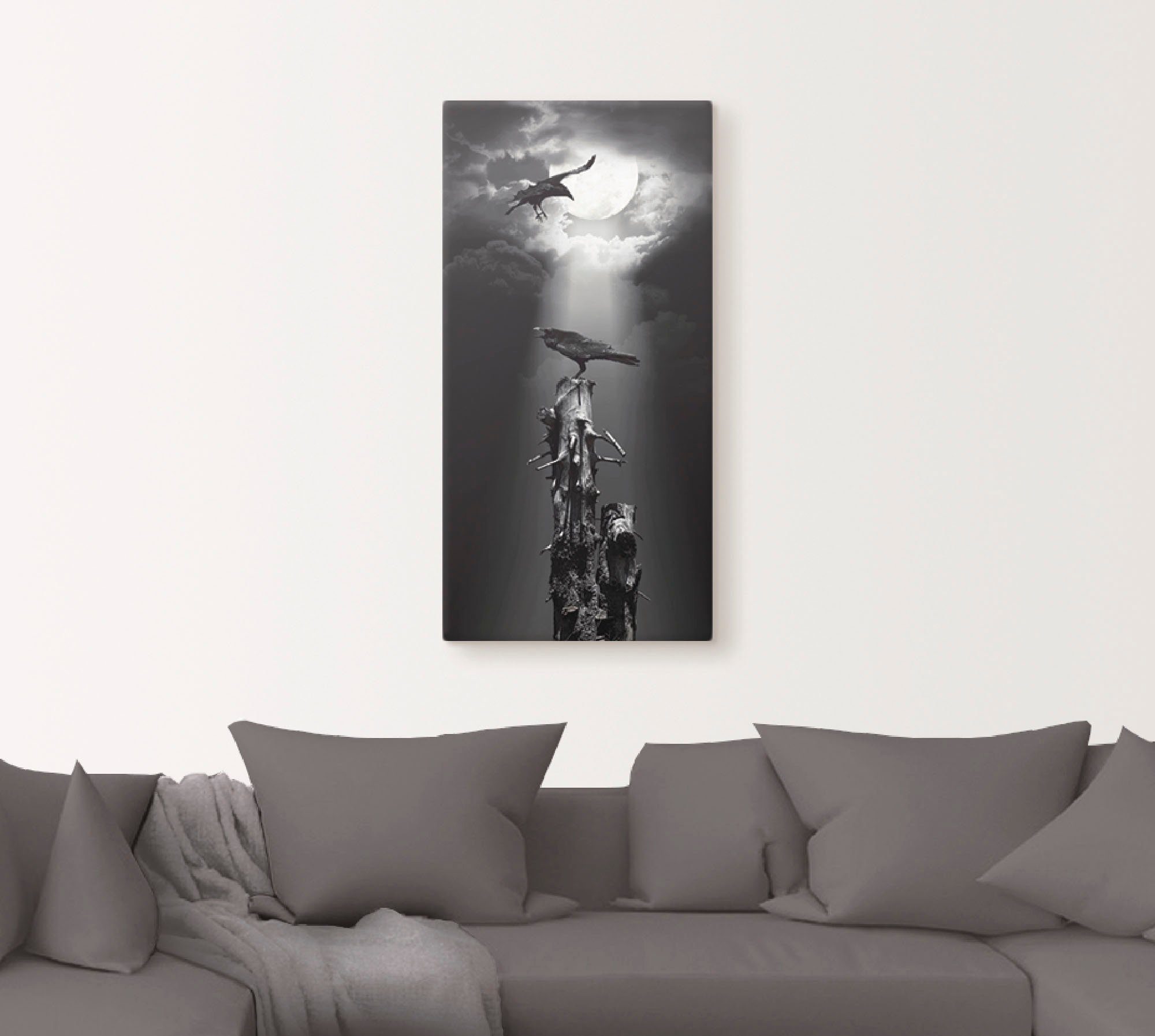 Artland Artprint Raaf in de nacht als artprint op linnen, poster, muursticker in verschillende maten