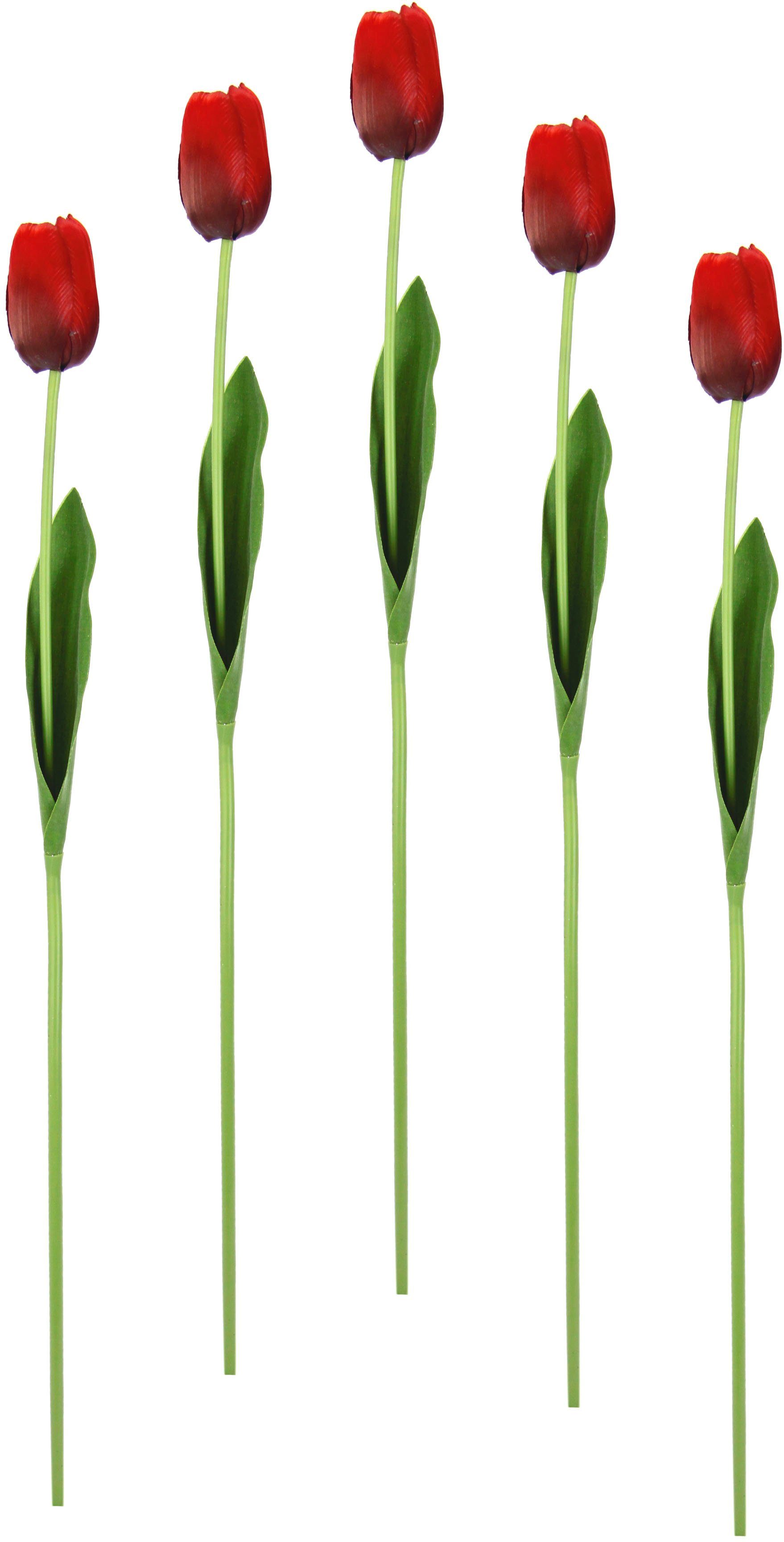 I.GE.A. Kunstbloem Real Touch Tulpen set van 5 kunst-tulpenknoppen kunstbloemen snijbloem (5 stuks)