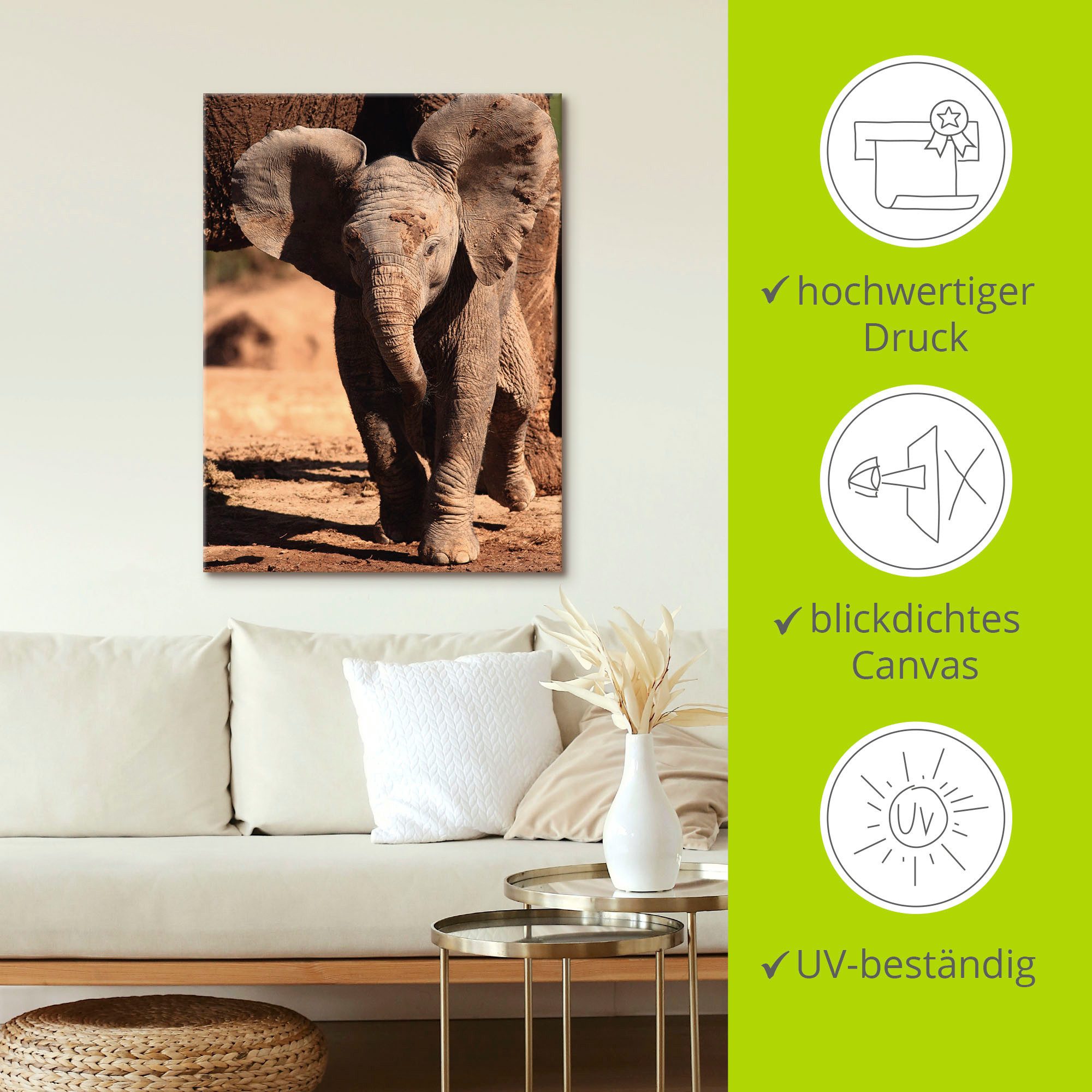 Artland Artprint op linnen Olifantenbaby gespannen op een spieraam