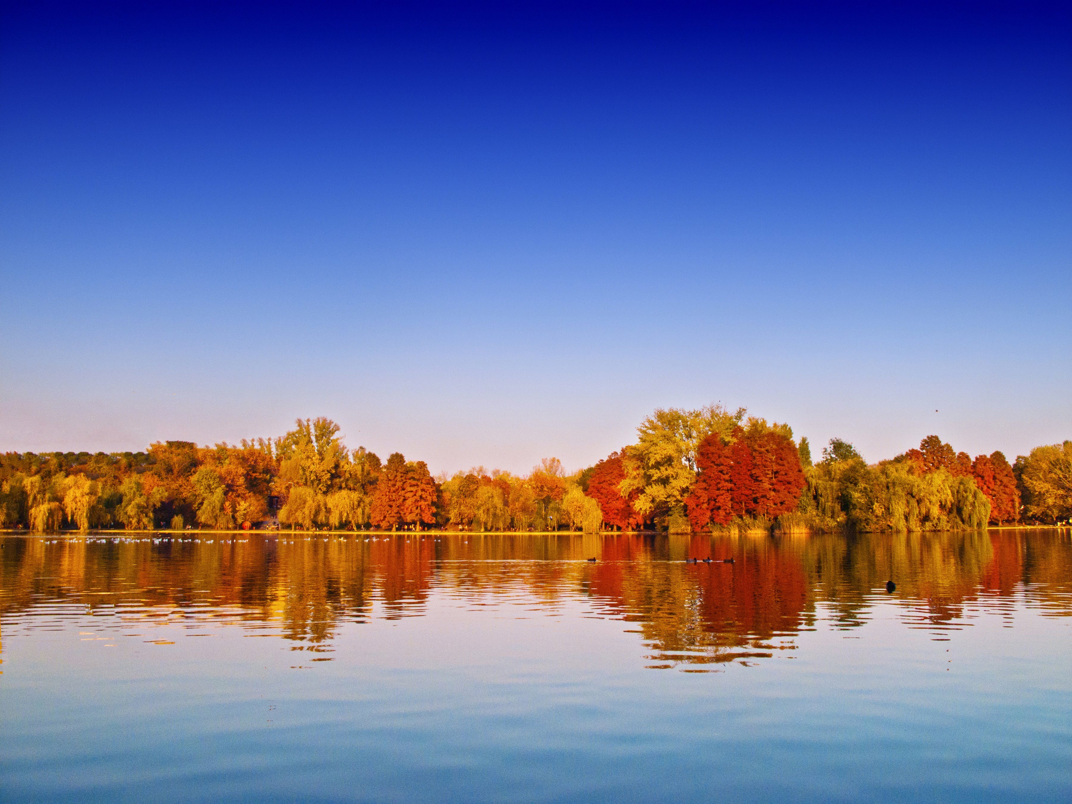 Papermoon Fotobehang Autumn Lake