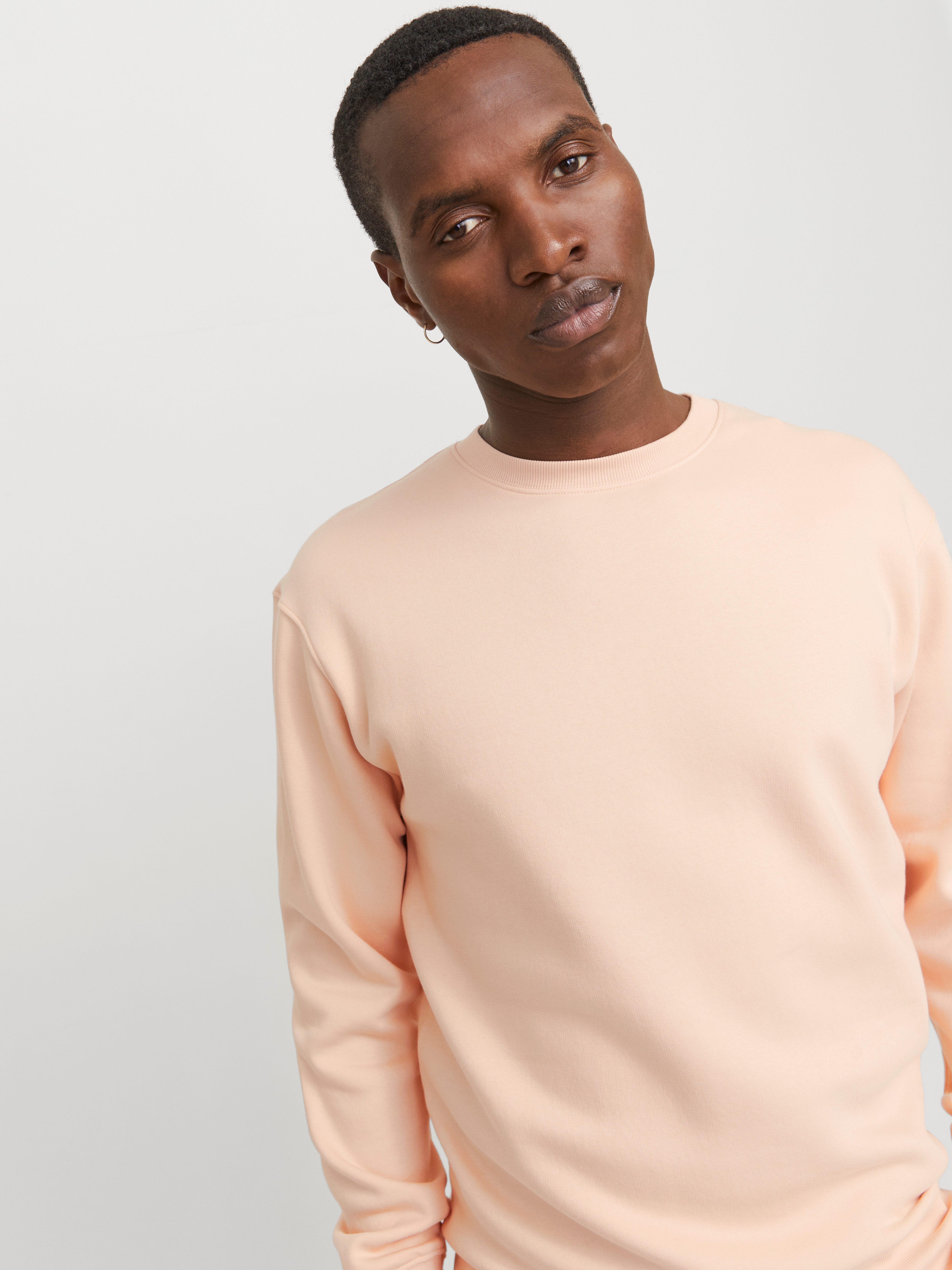 Jack & Jones Sweatshirt JJESTAR BASIC SWEAT CREW NECK NOOS