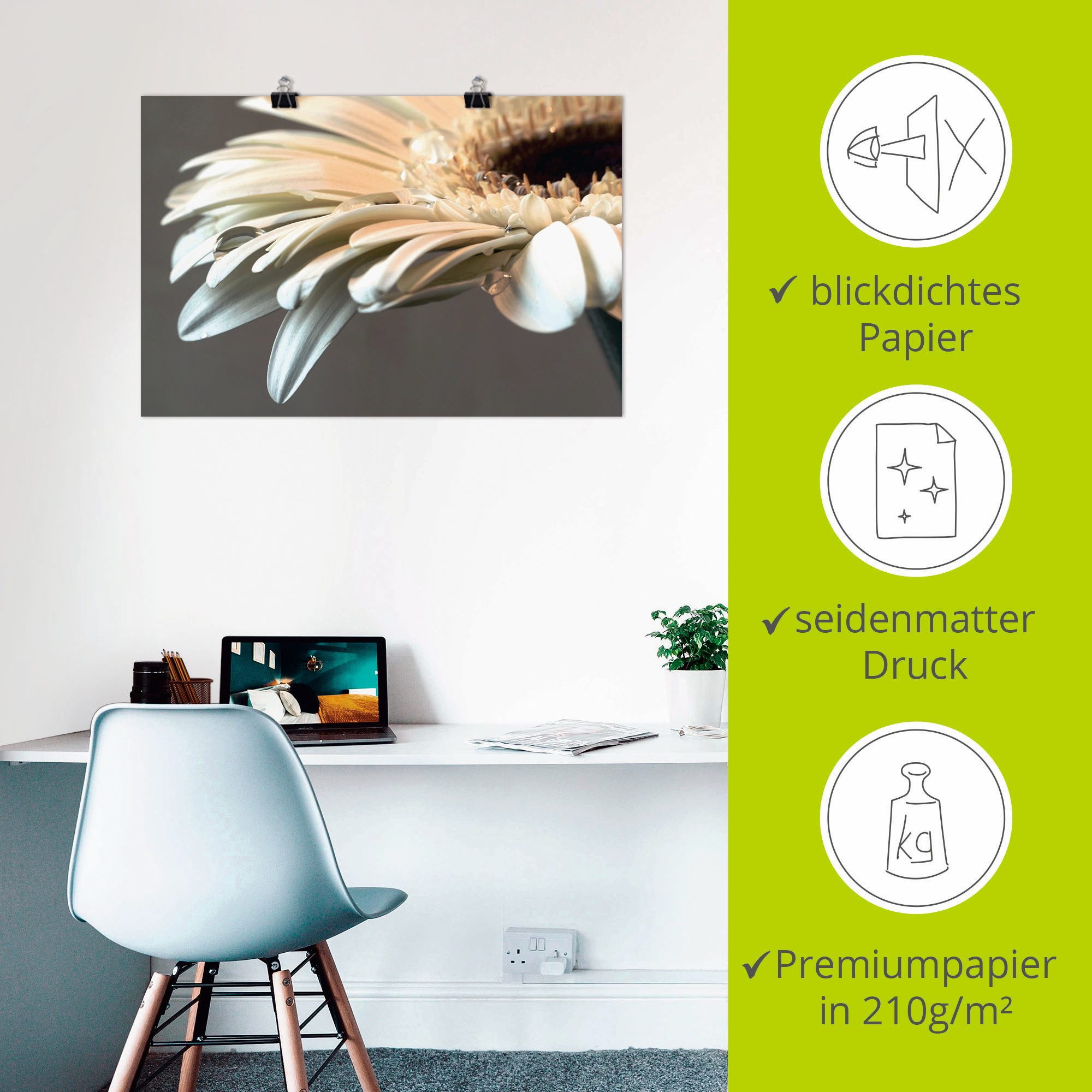 Artland Artprint Bloem van een gerbera als artprint op linnen, poster, muursticker in verschillende maten