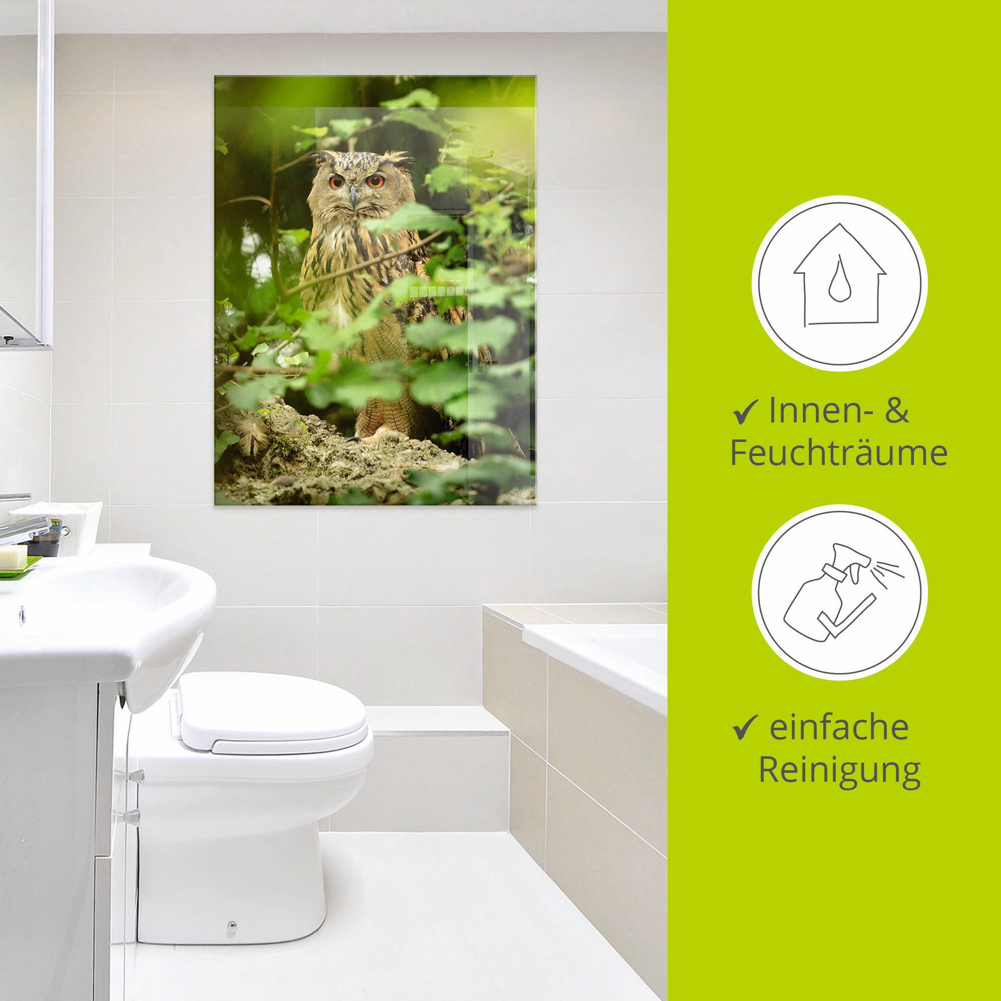 Artland Print op glas Vogel oehoe in verschillende maten