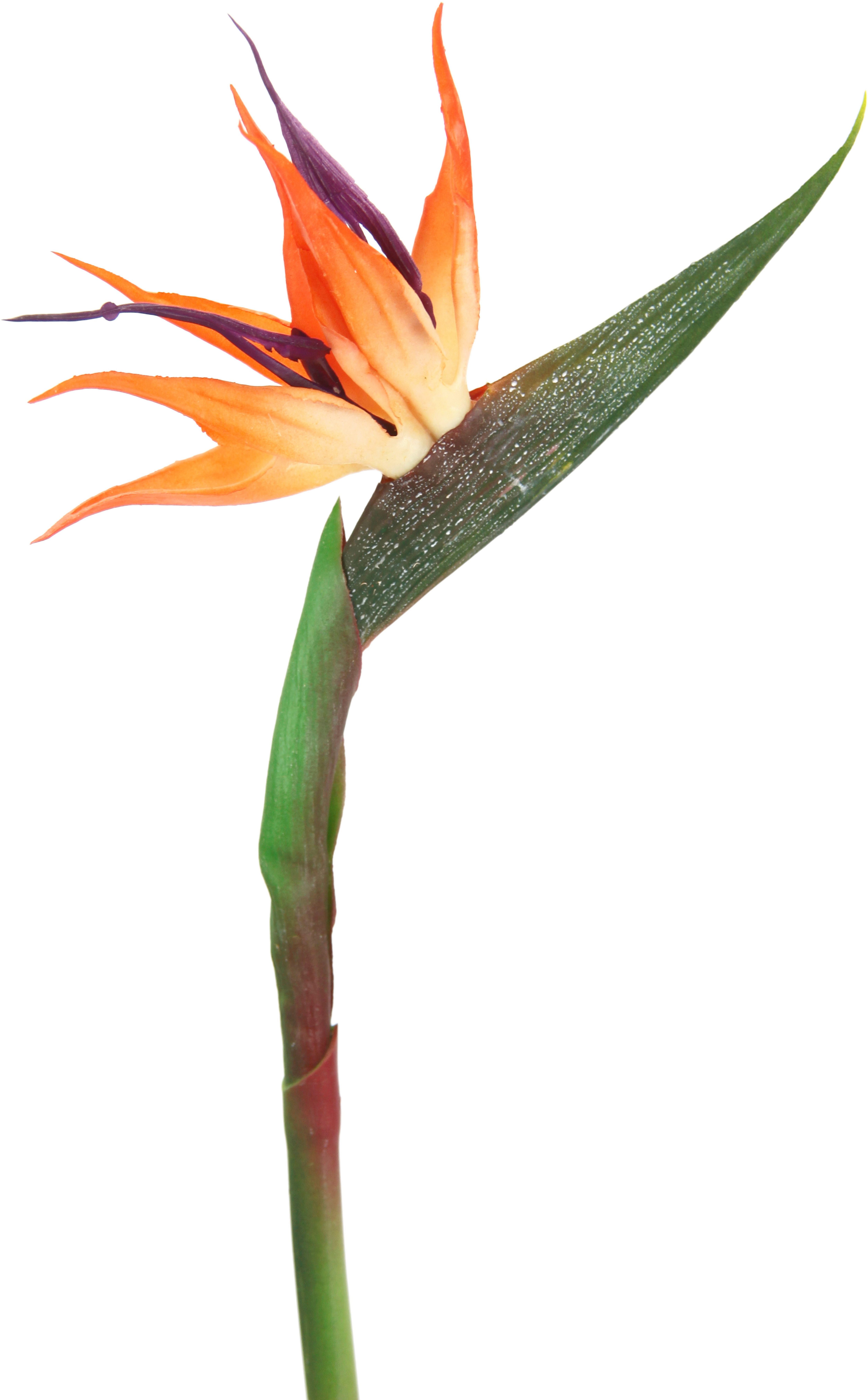 I.GE.A. Kunstbloem strelitzie paradijsvogelbloem exotische decoratieve tak (3 stuks)