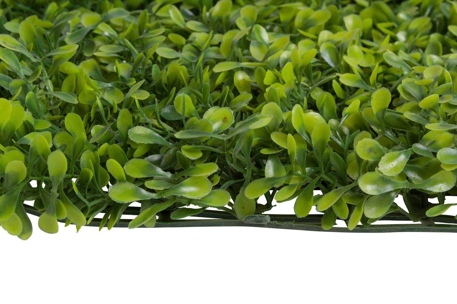 Botanic-Haus Kunst-potplanten Buxusmat groot (1 stuk)