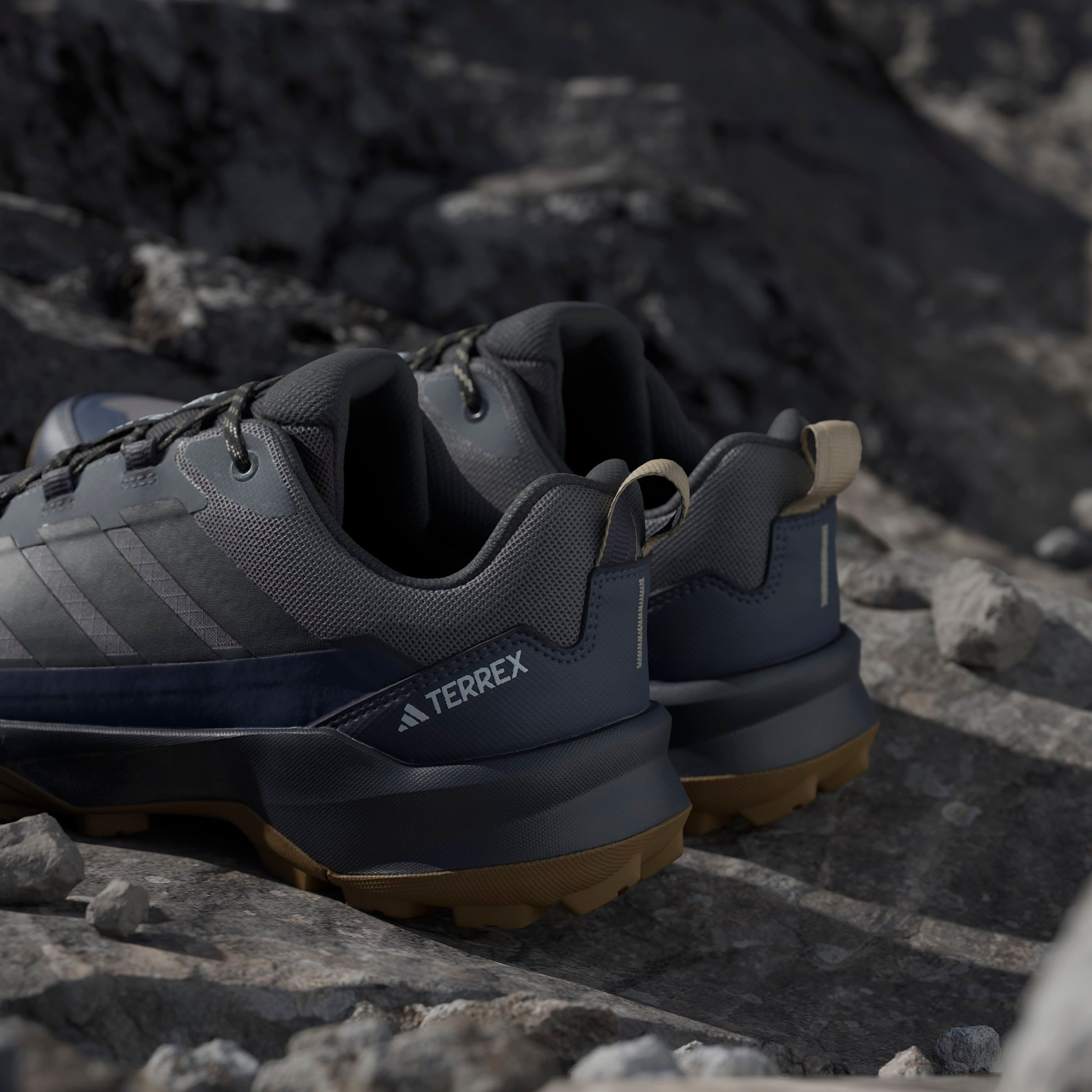 adidas TERREX Wandelschoenen TERREX SKYCHASER AX5 GORE-TEX E