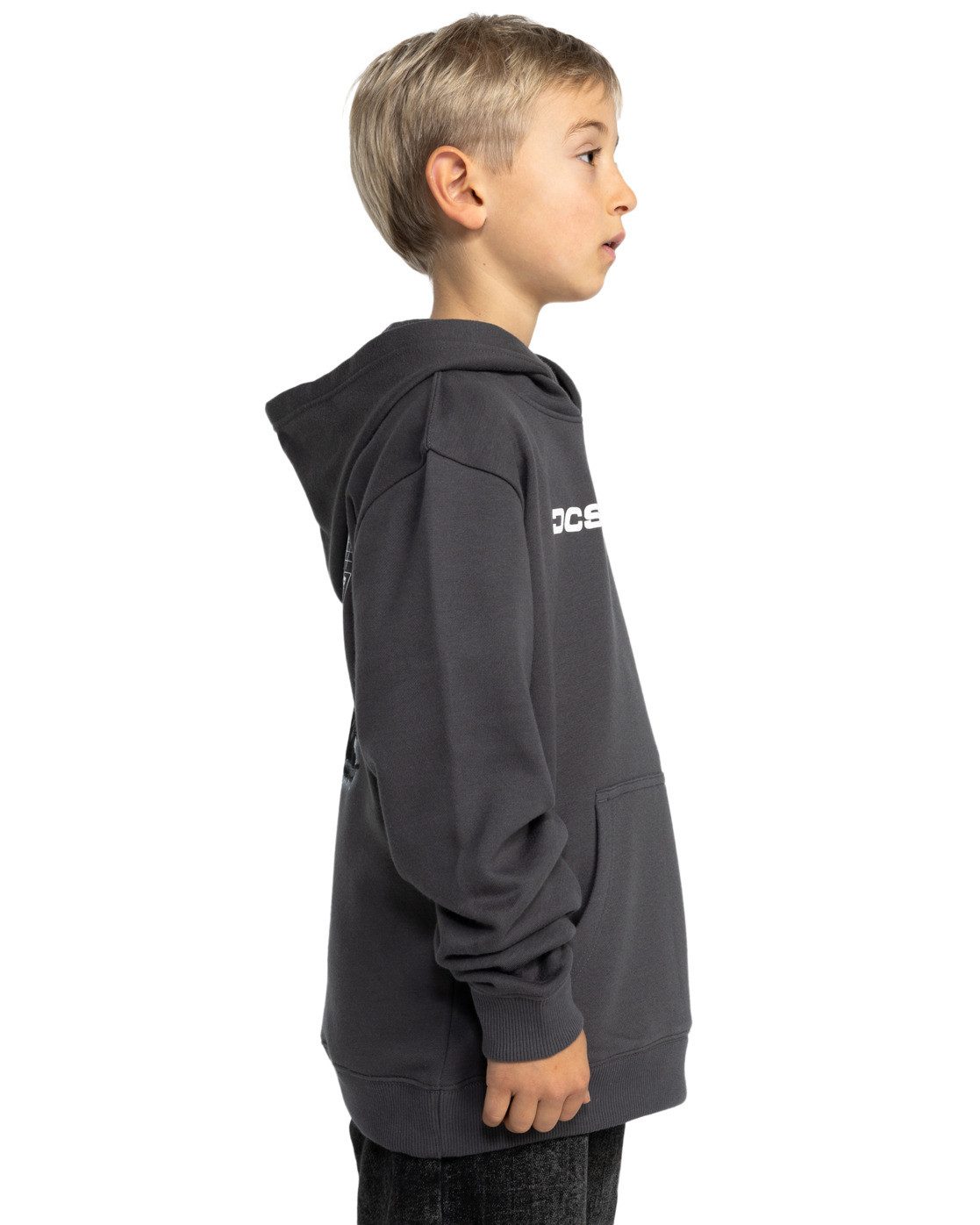 DC Shoes Hoodie Whereabouts