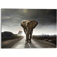 reinders! artprint elefantenkoenig tiermotiv - elefant - natur (1 stuk) bruin
