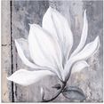 artland print op glas klassieke magnolia (1 stuk) grijs