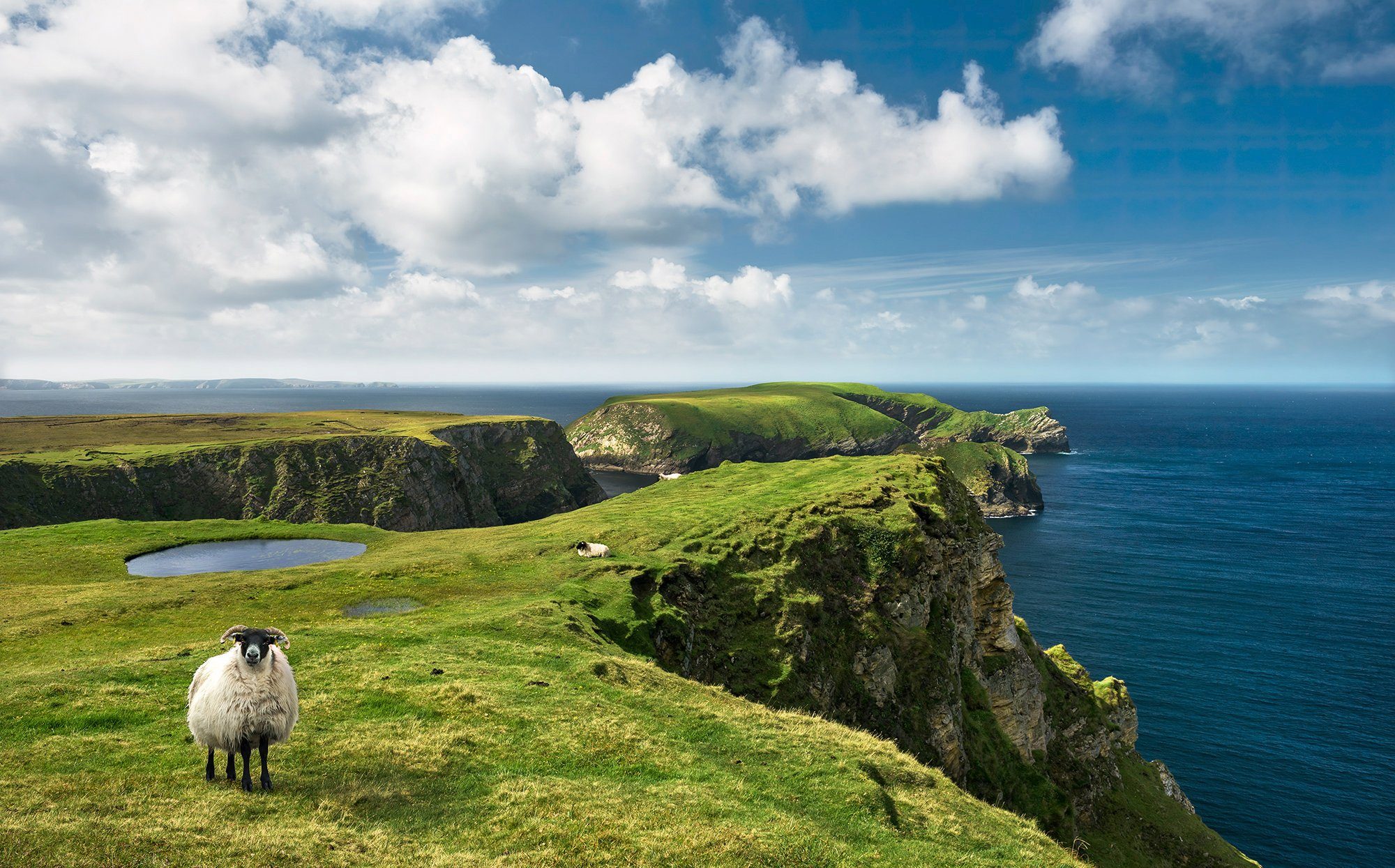 Komar fotobehang Green Ireland