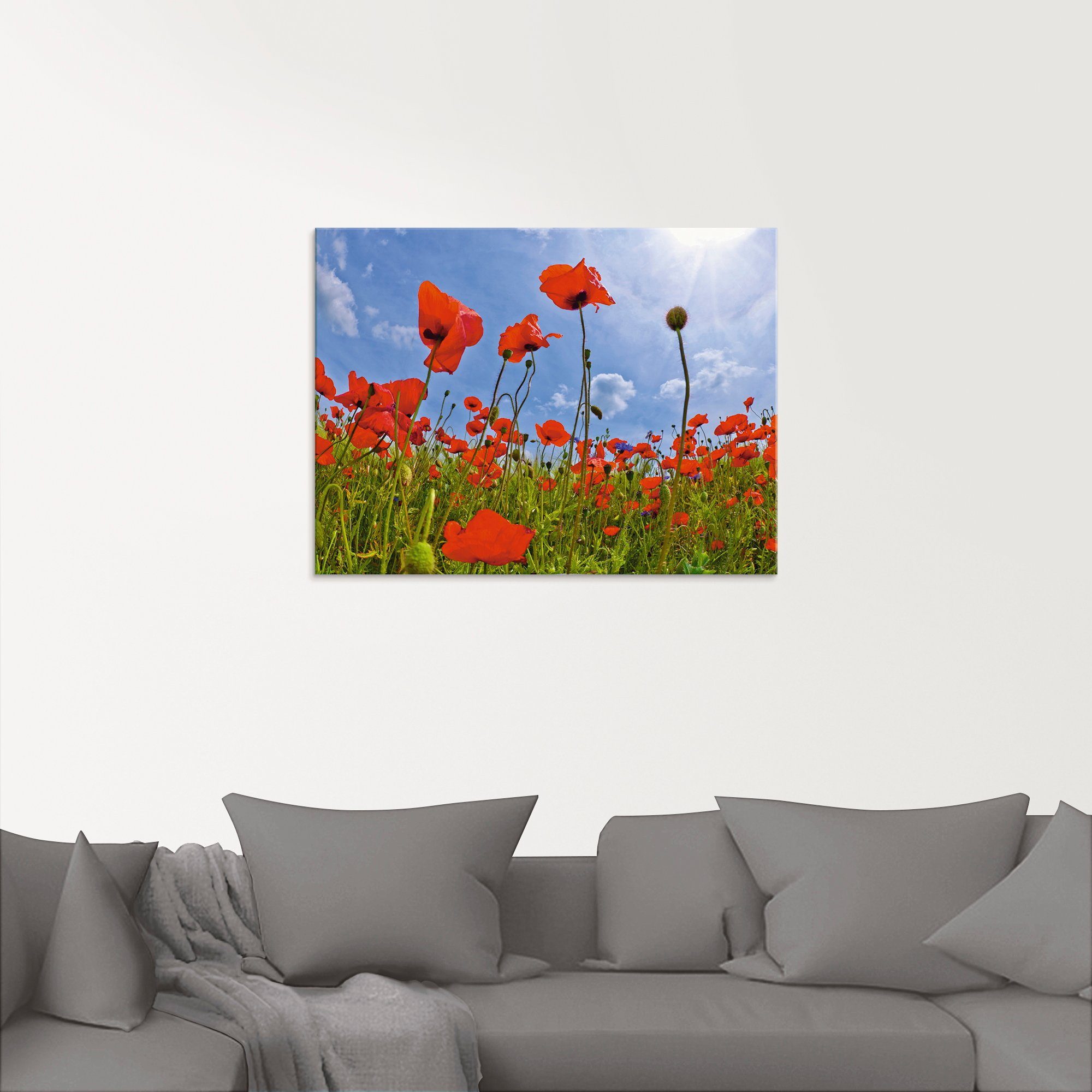 Artland Print op glas Klaprozenveld in verschillende maten