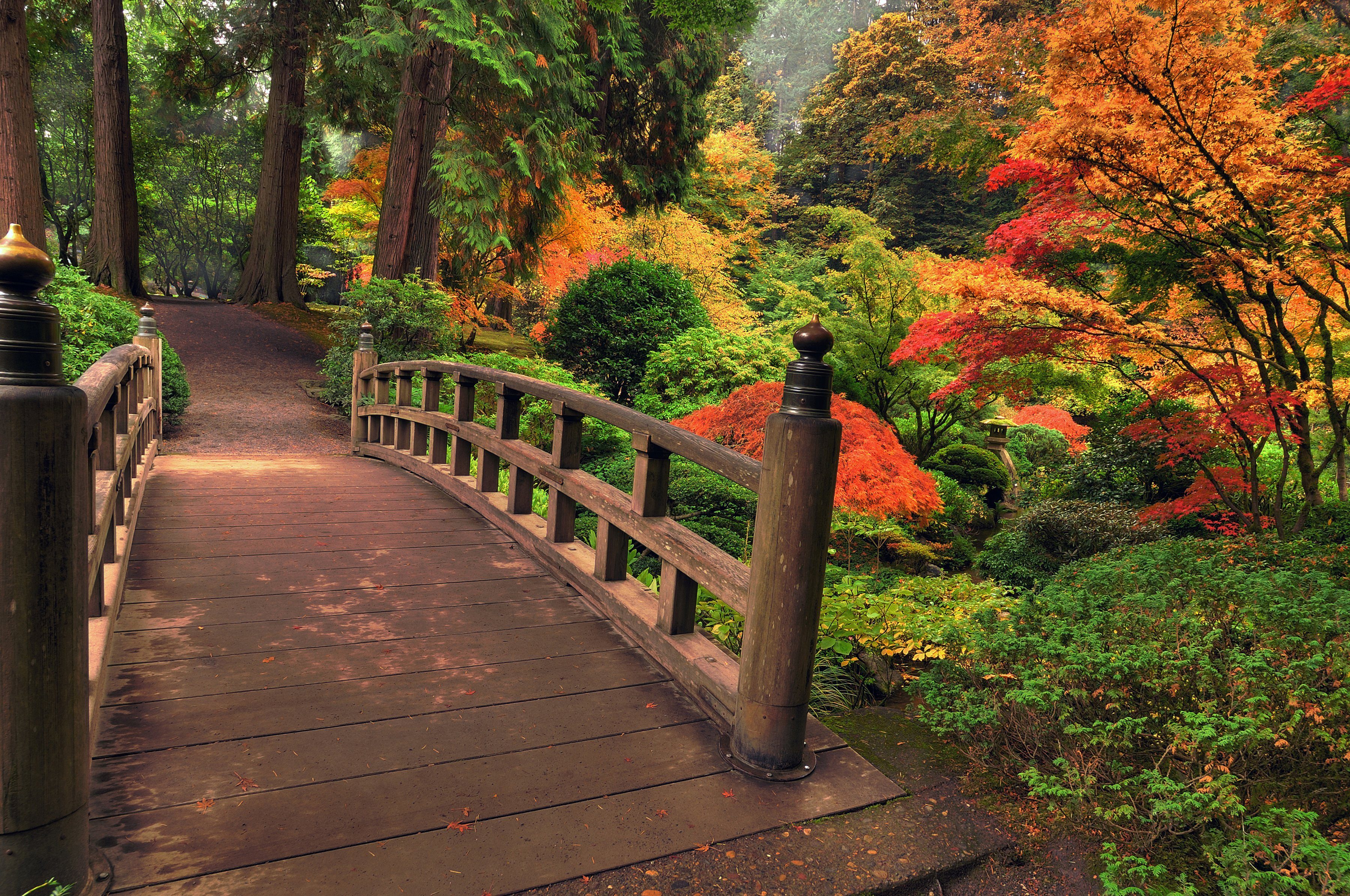 Papermoon Fotobehang Autumn Bridge