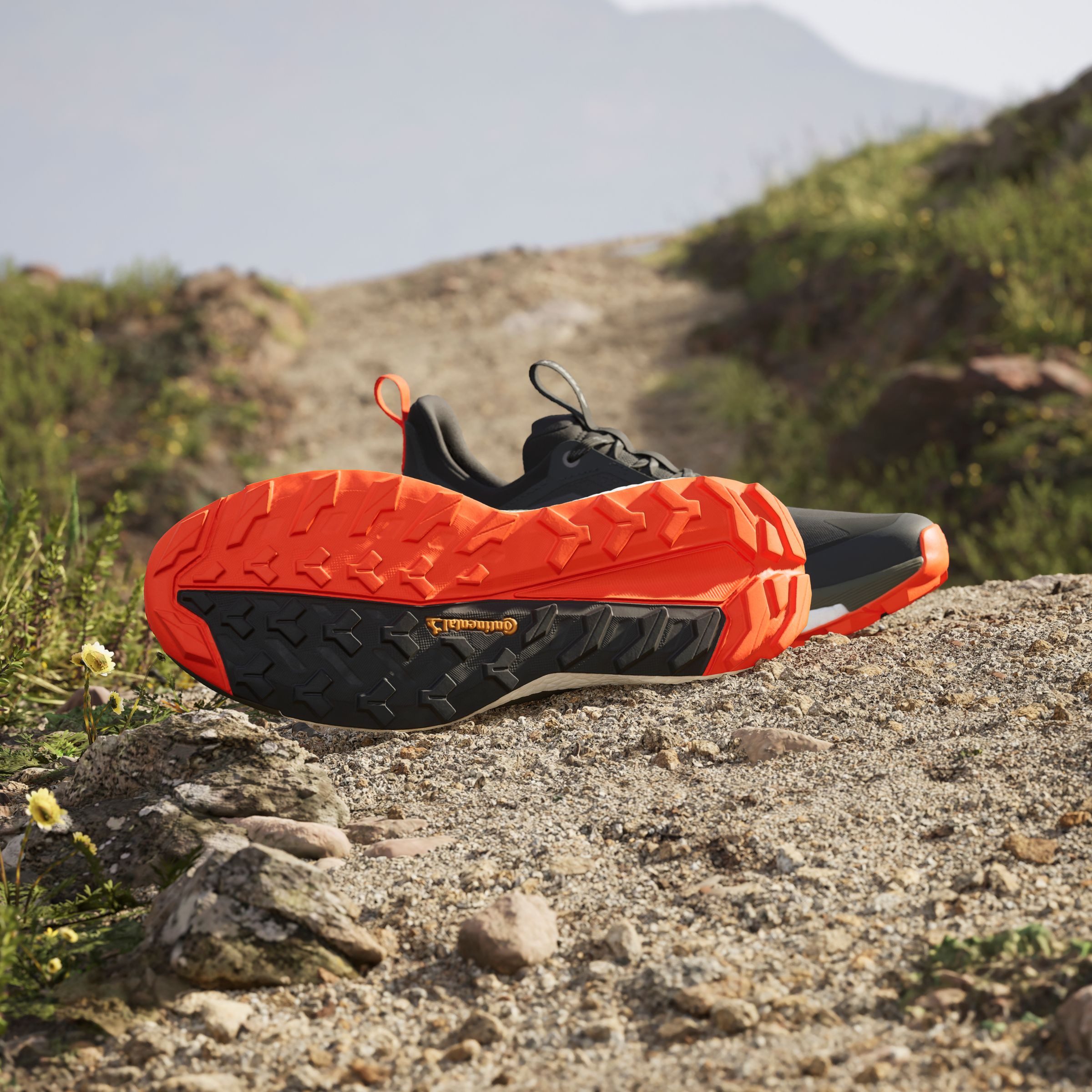 adidas TERREX Wandelschoenen TERREX FREE HIKER 2.0 LOW