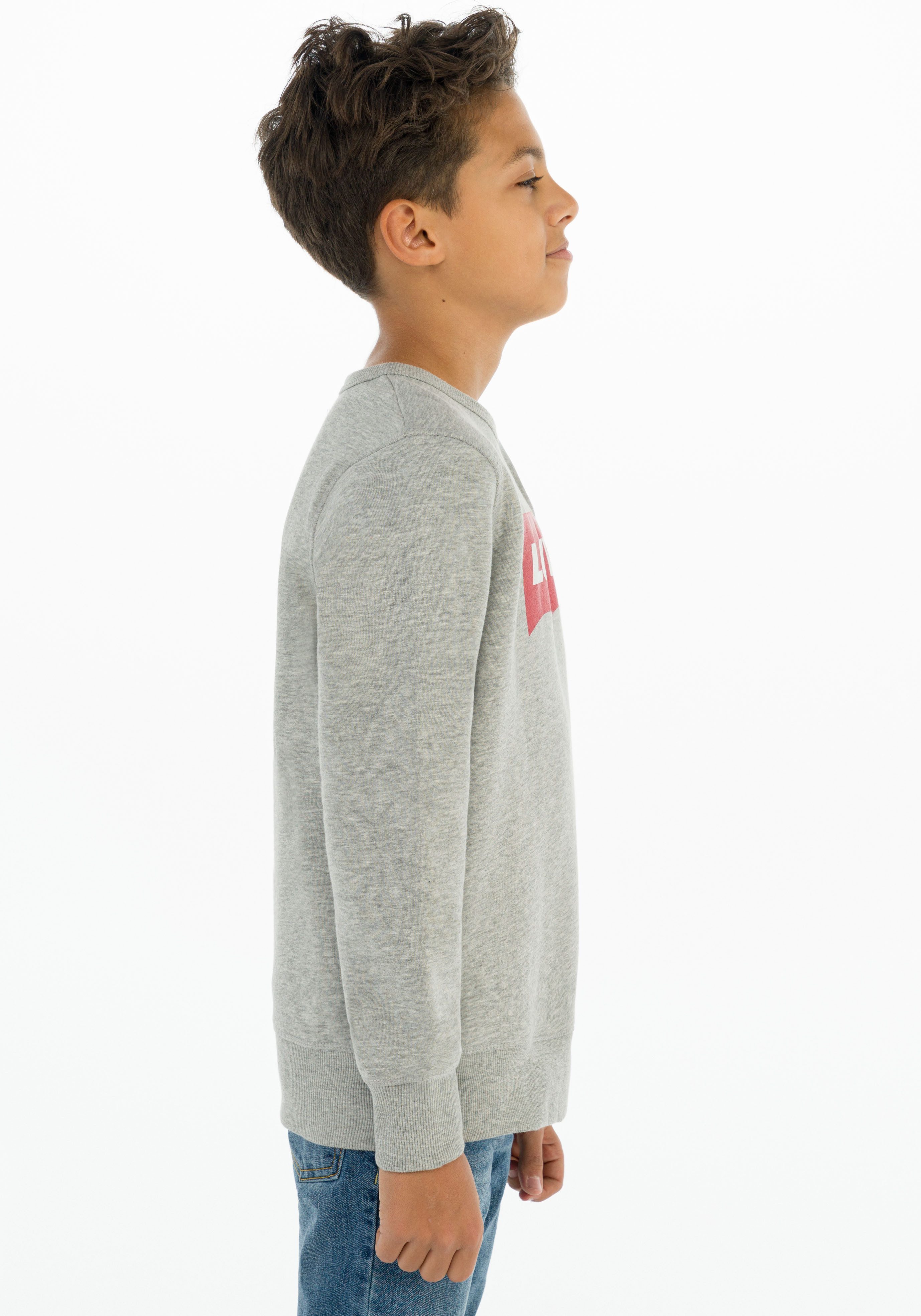 Levi's Kidswear Sweatshirt LVB LVB FRENCH TERRY BATWING