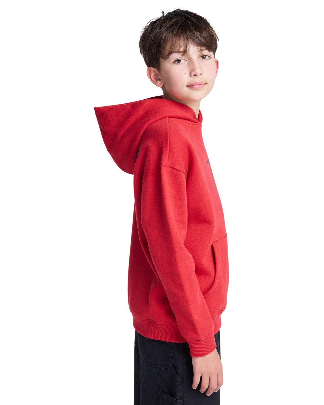 Element Hoodie Lowcase Bp