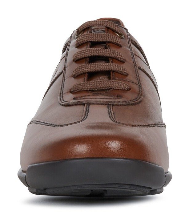 Geox Sneakers Edgeware