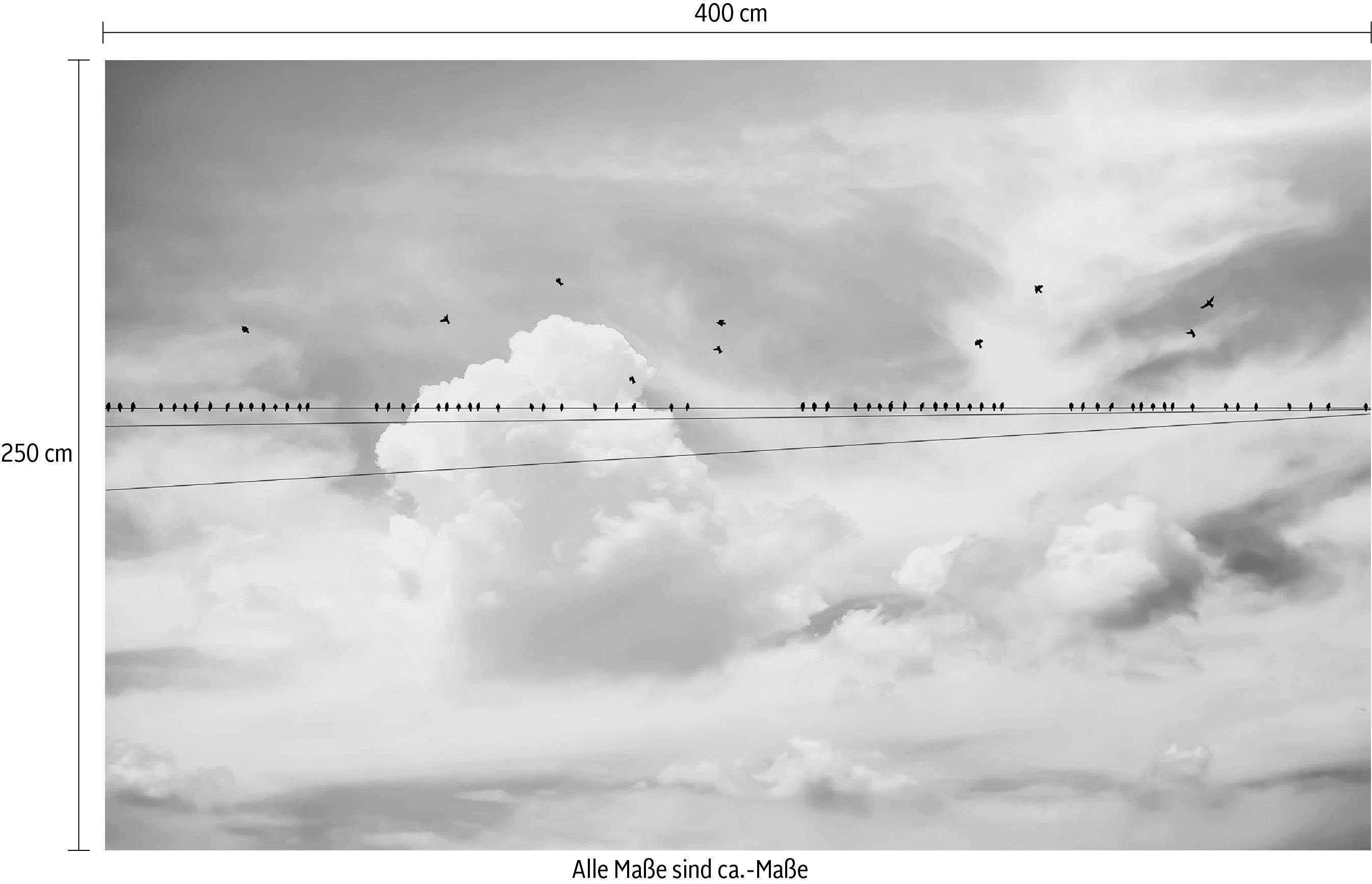 Komar Vliesbehang Digitale print vlies - Cloud Wire - Afmeting 400 x 250 cm (1 stuk)