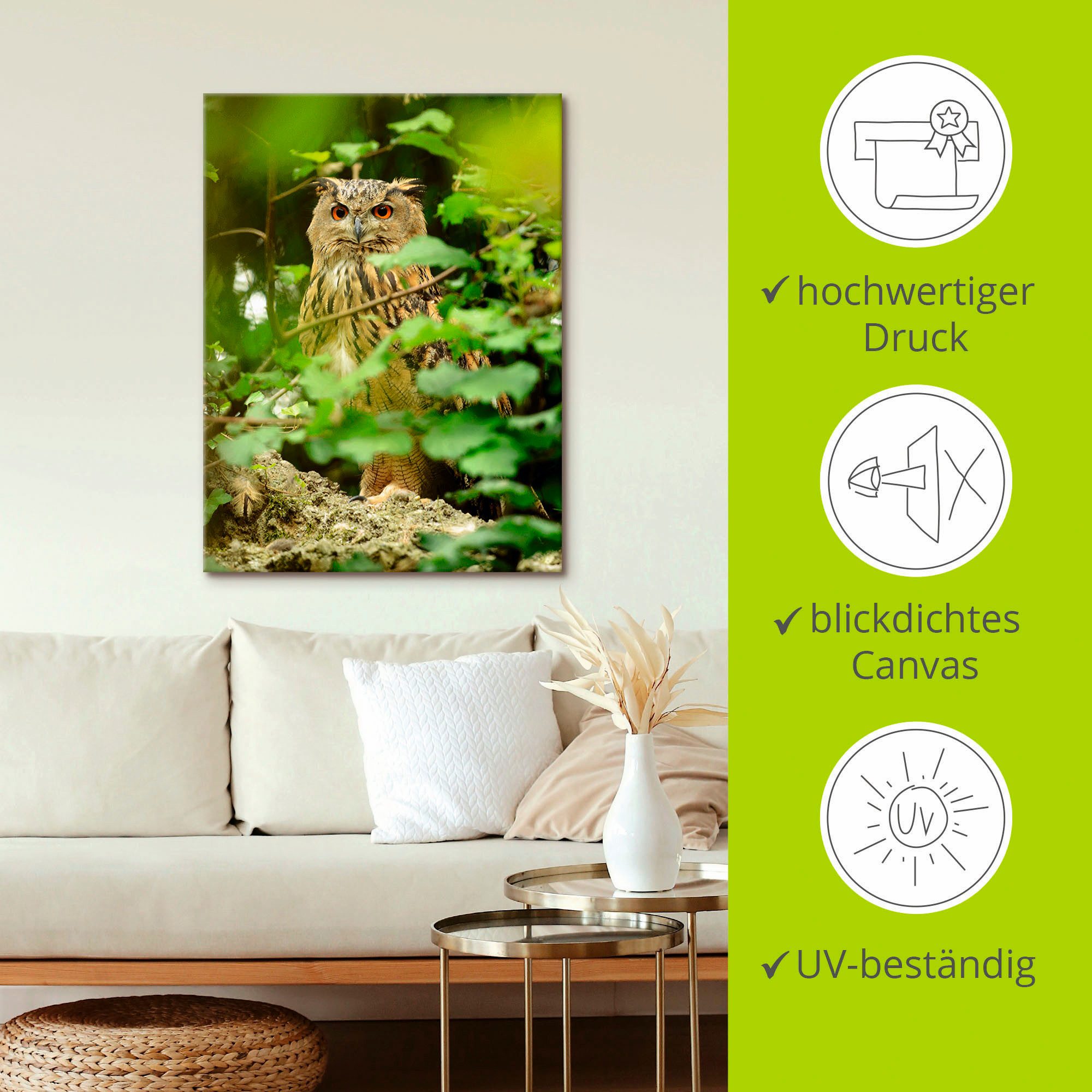 Artland Artprint Vogel oehoe als artprint op linnen, poster in verschillende formaten maten