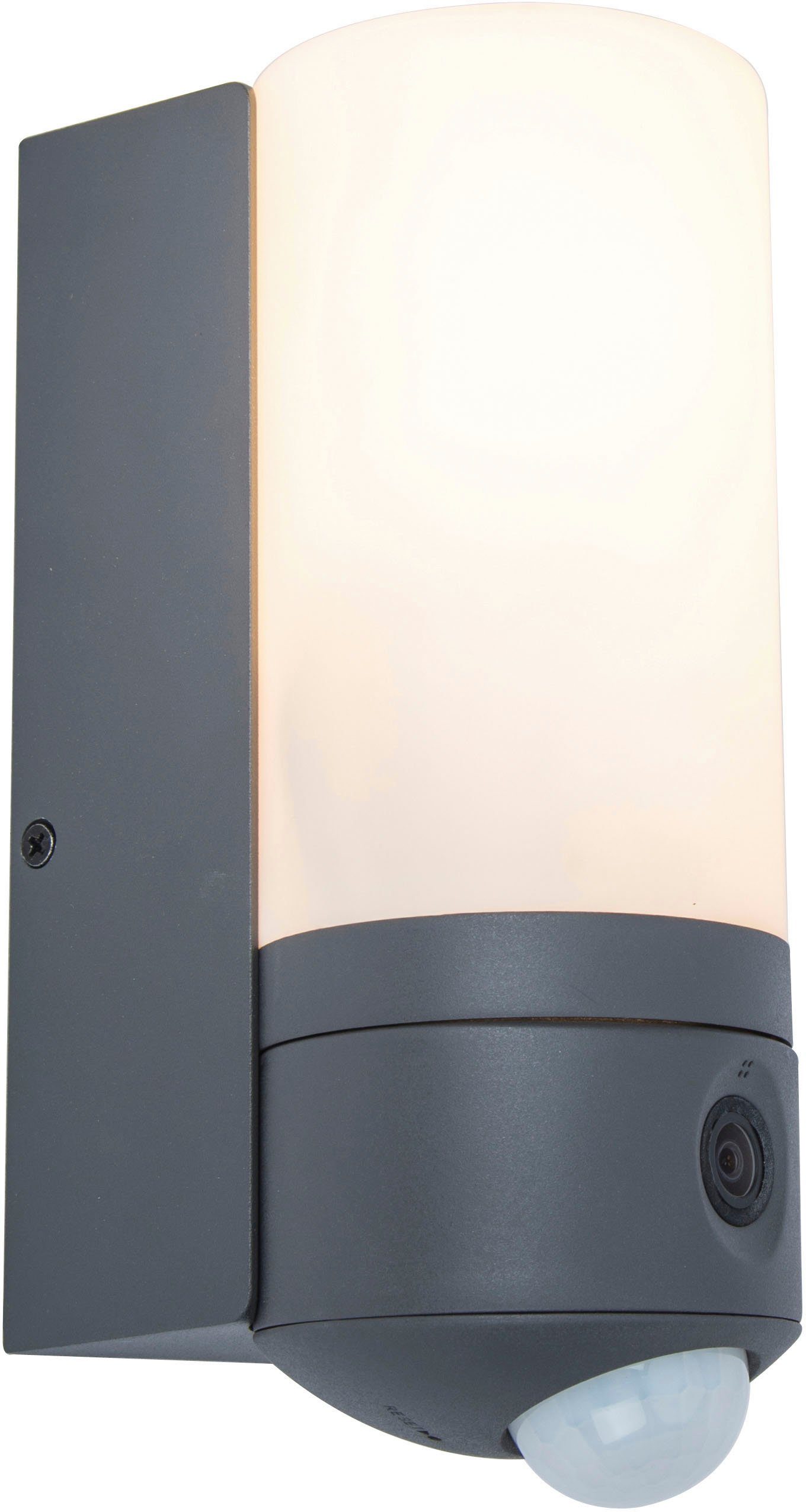 LUTEC Slimme ledlamp Pollux Smart-Home camera lamp (1 stuk)