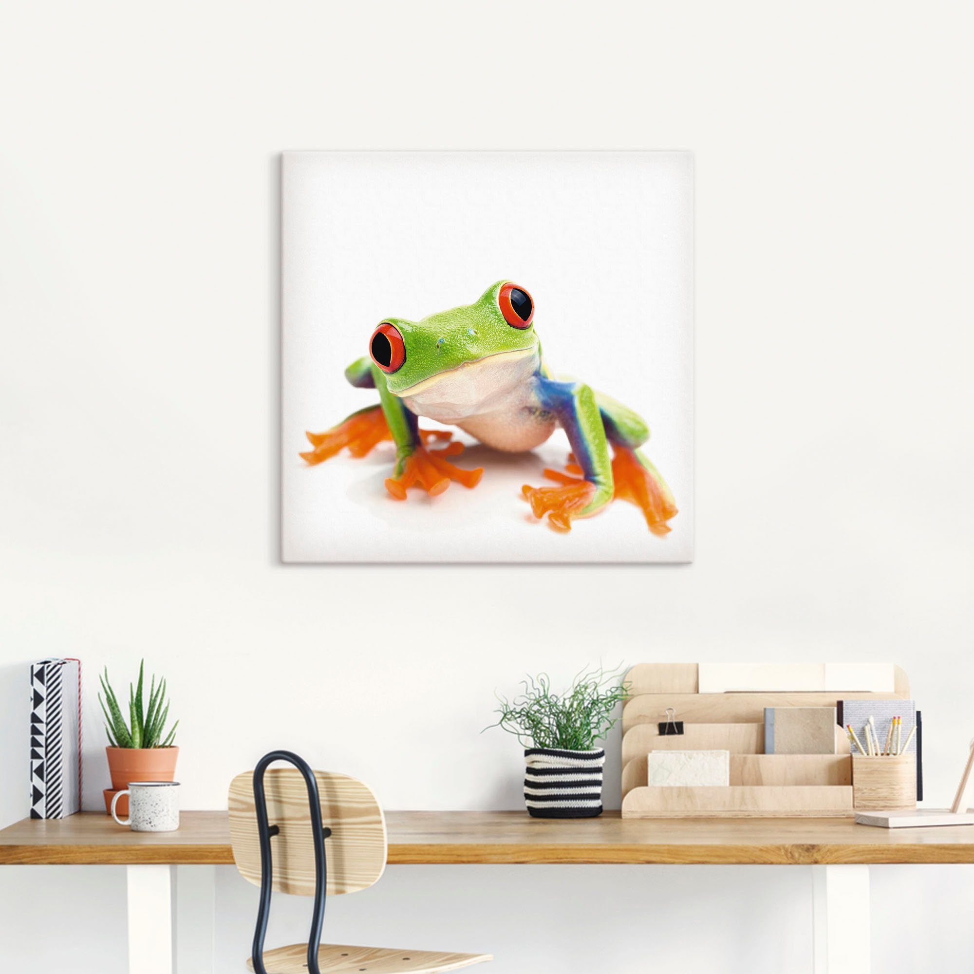 Artland Artprint Close up van een kikker voor wit als artprint van aluminium, artprint voor buiten, artprint op linnen in verschillende maten