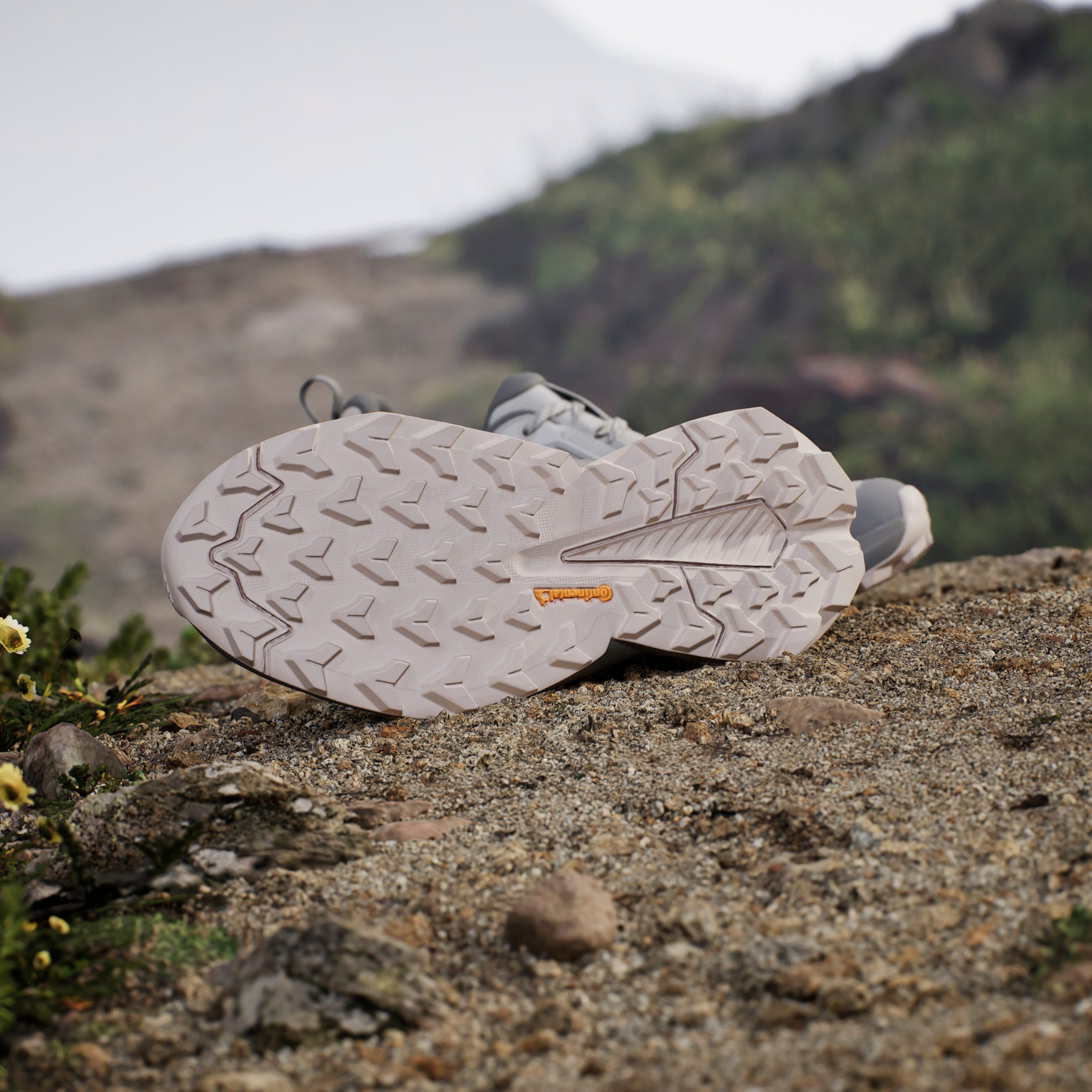 adidas TERREX Wandelschoenen TERREX TRAILMAKER 2.0 GORE-TEX
