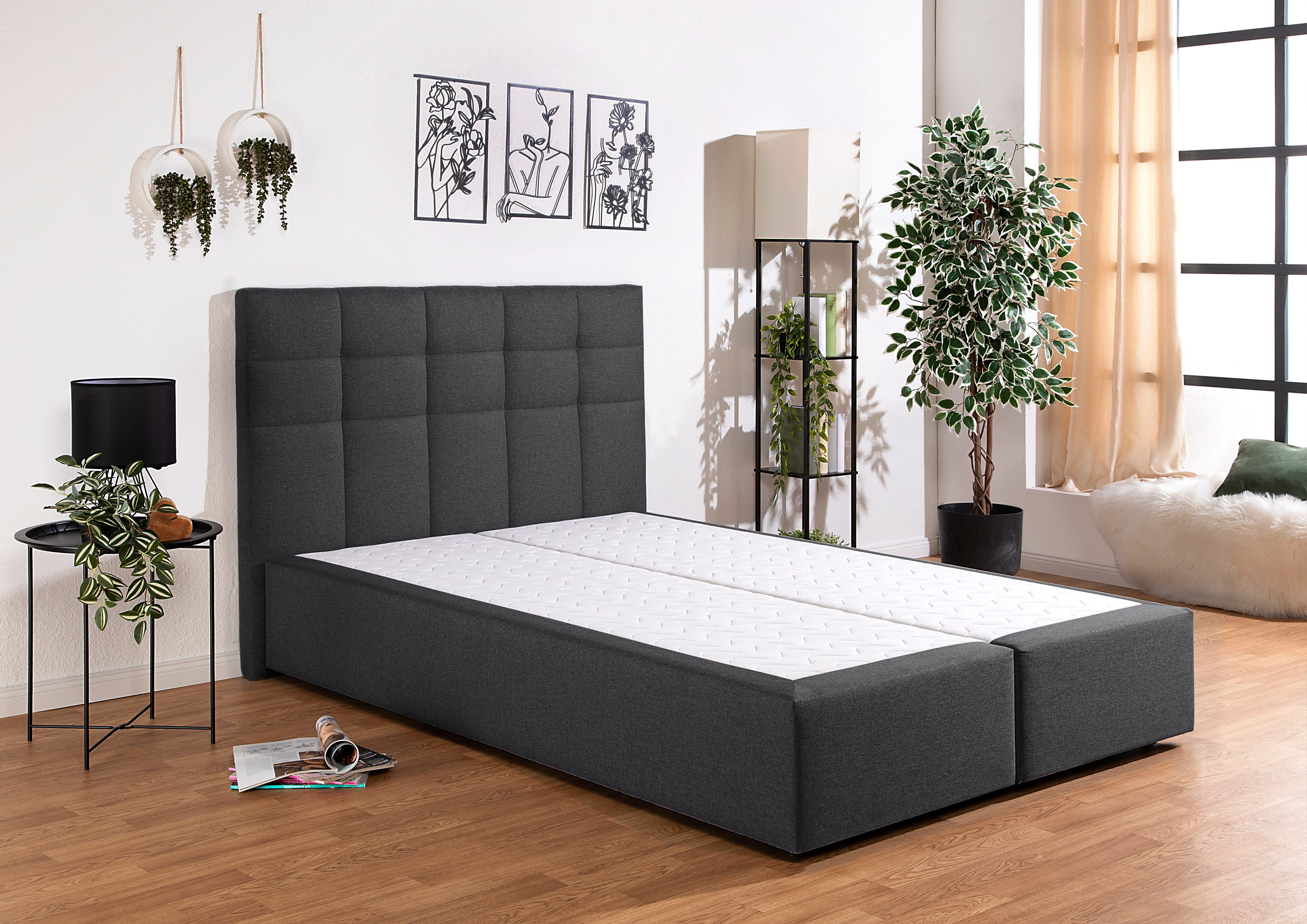 INOSIGN Boxspring OVALO optioneel met bedbox, verkrijgbaar in h2, h3 & h4