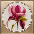 queence artprint op acrylglas bloem roze
