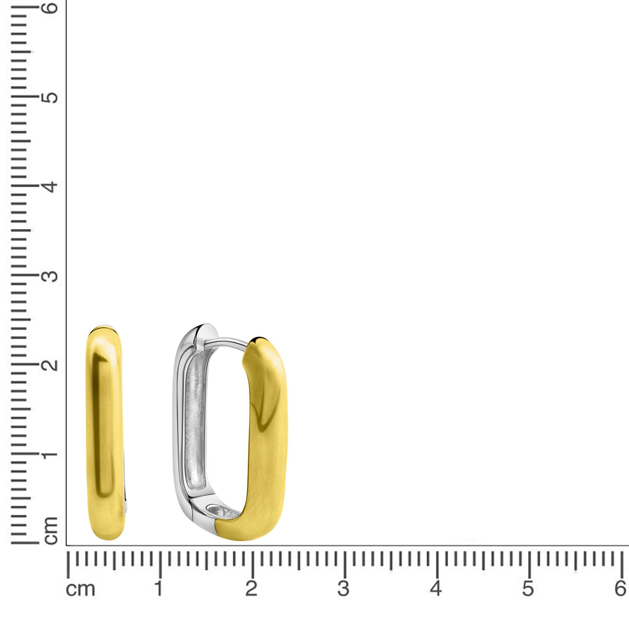 Firetti Paar creolen Sieraad cadeau zilver 925 oorbellen bicolor