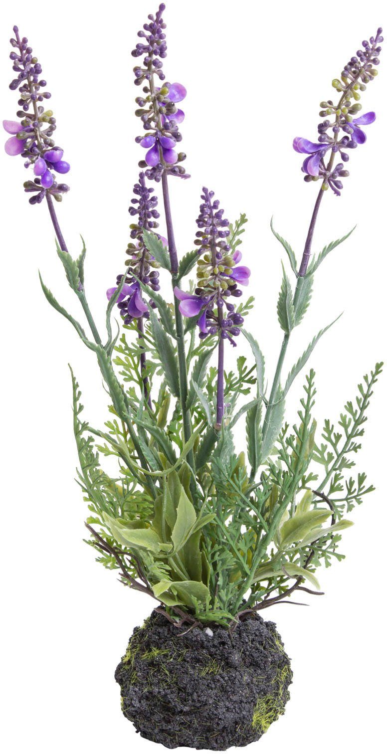 Botanic-Haus Kunst-potplanten Lavendel (set, 2 stuks)