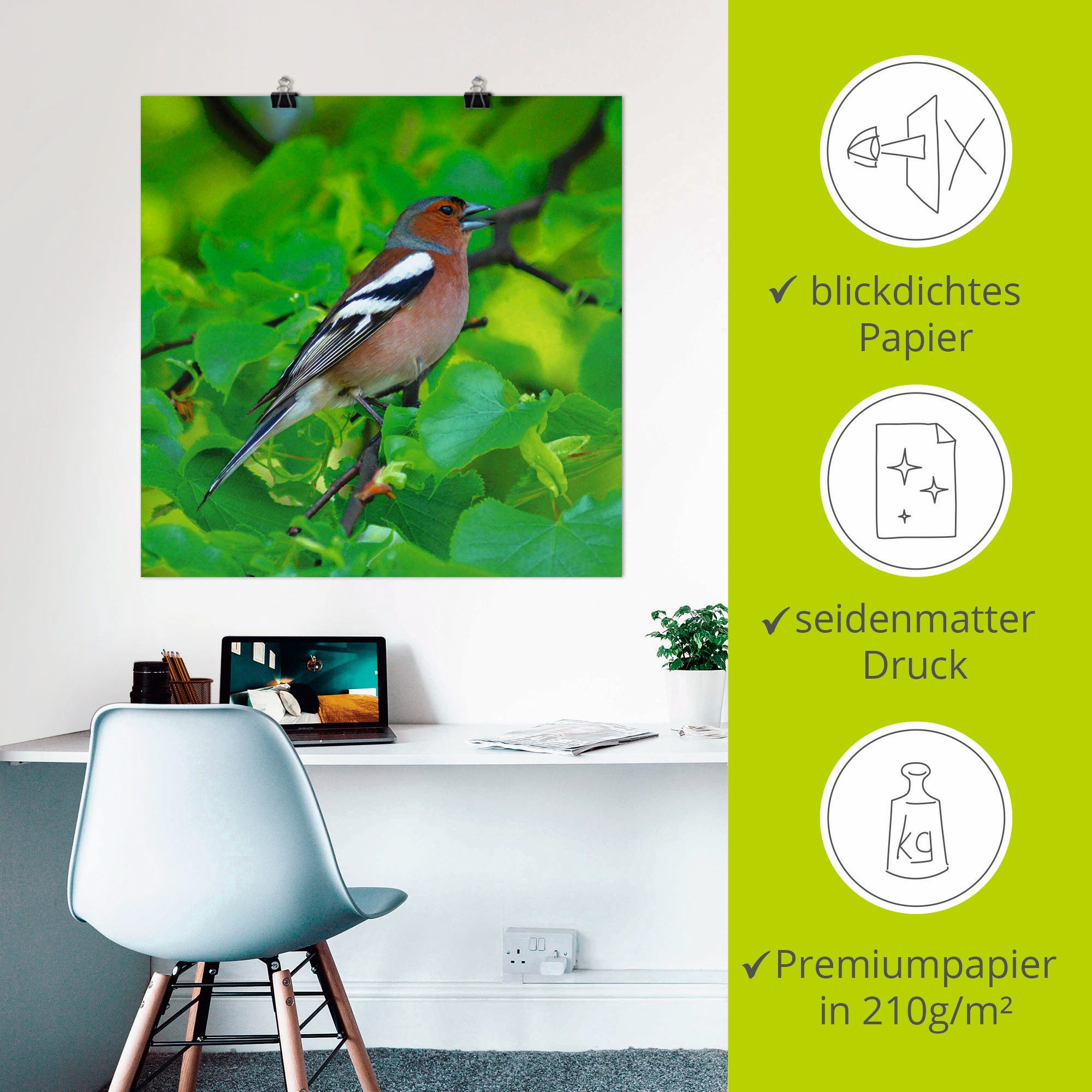 Artland Artprint Vink lied als artprint op linnen, poster in verschillende formaten maten