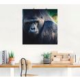 artland artprint gorilla in vele afmetingen  productsoorten -artprint op linnen, poster, muursticker - wandfolie ook geschikt voor de badkamer (1 stuk) zwart