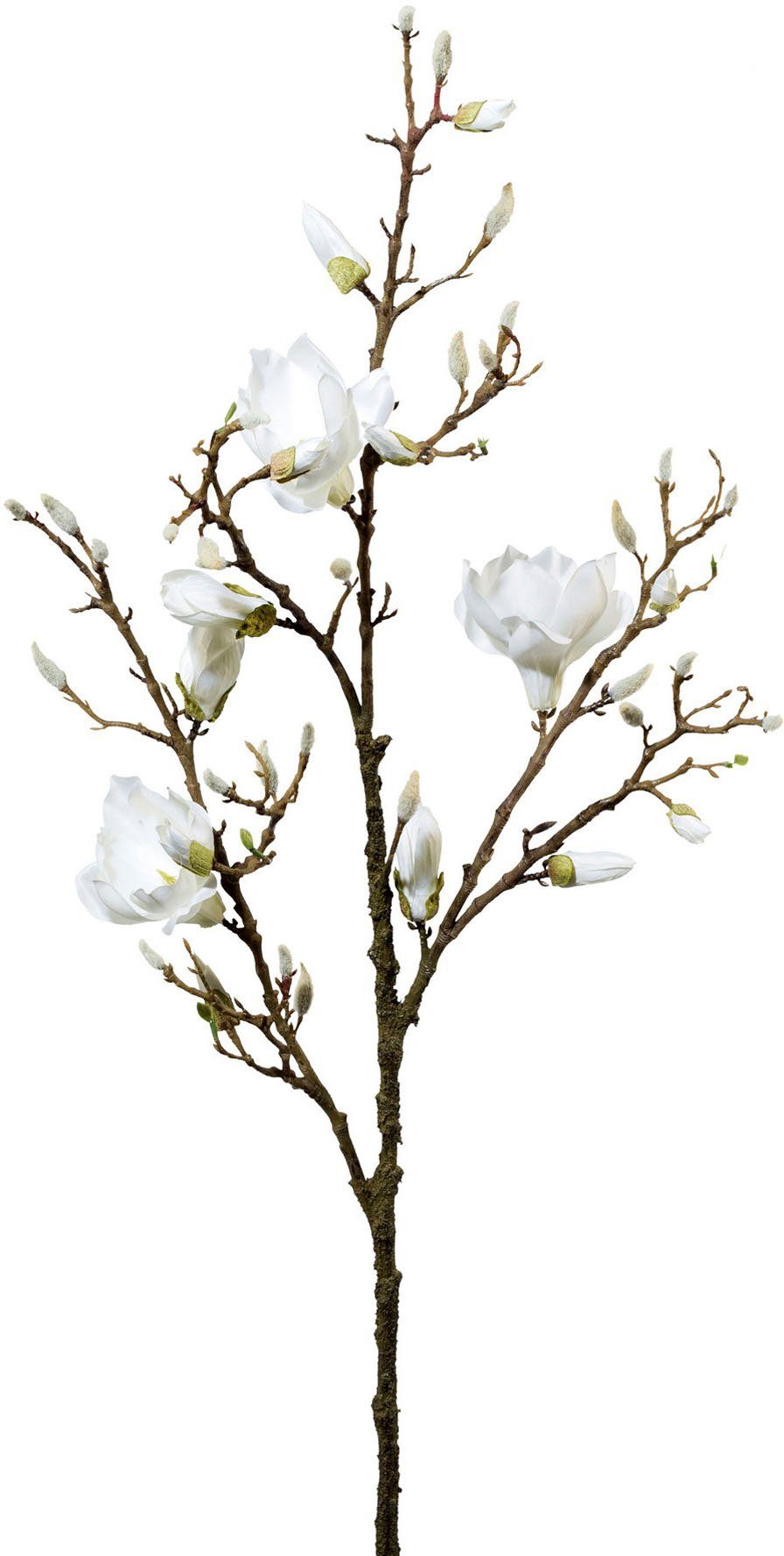 Creativ green Kunsttak Tak magnolia (1 stuk)