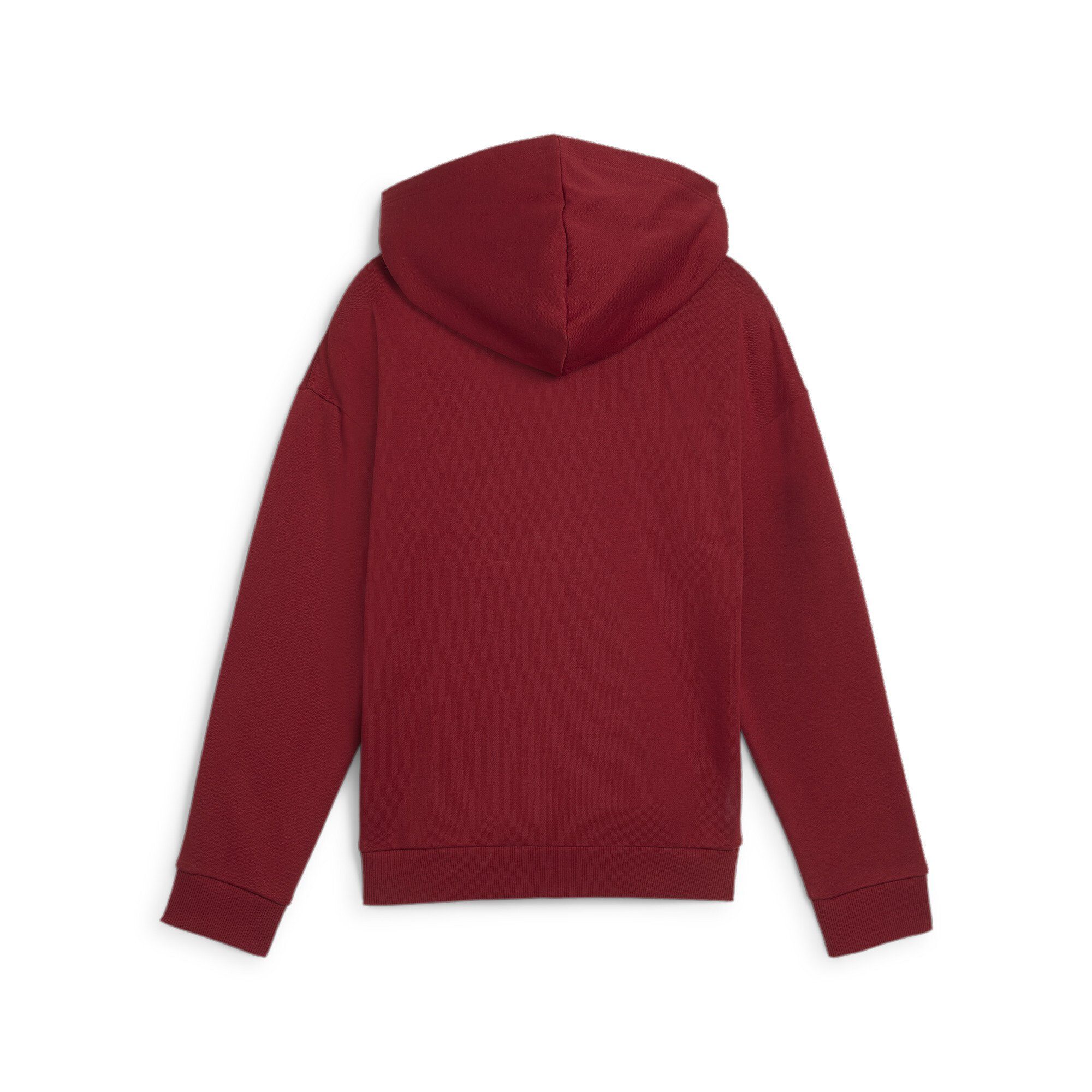PUMA Hoodie ESS+ SCRIPT METALLIC HOODIE FL G