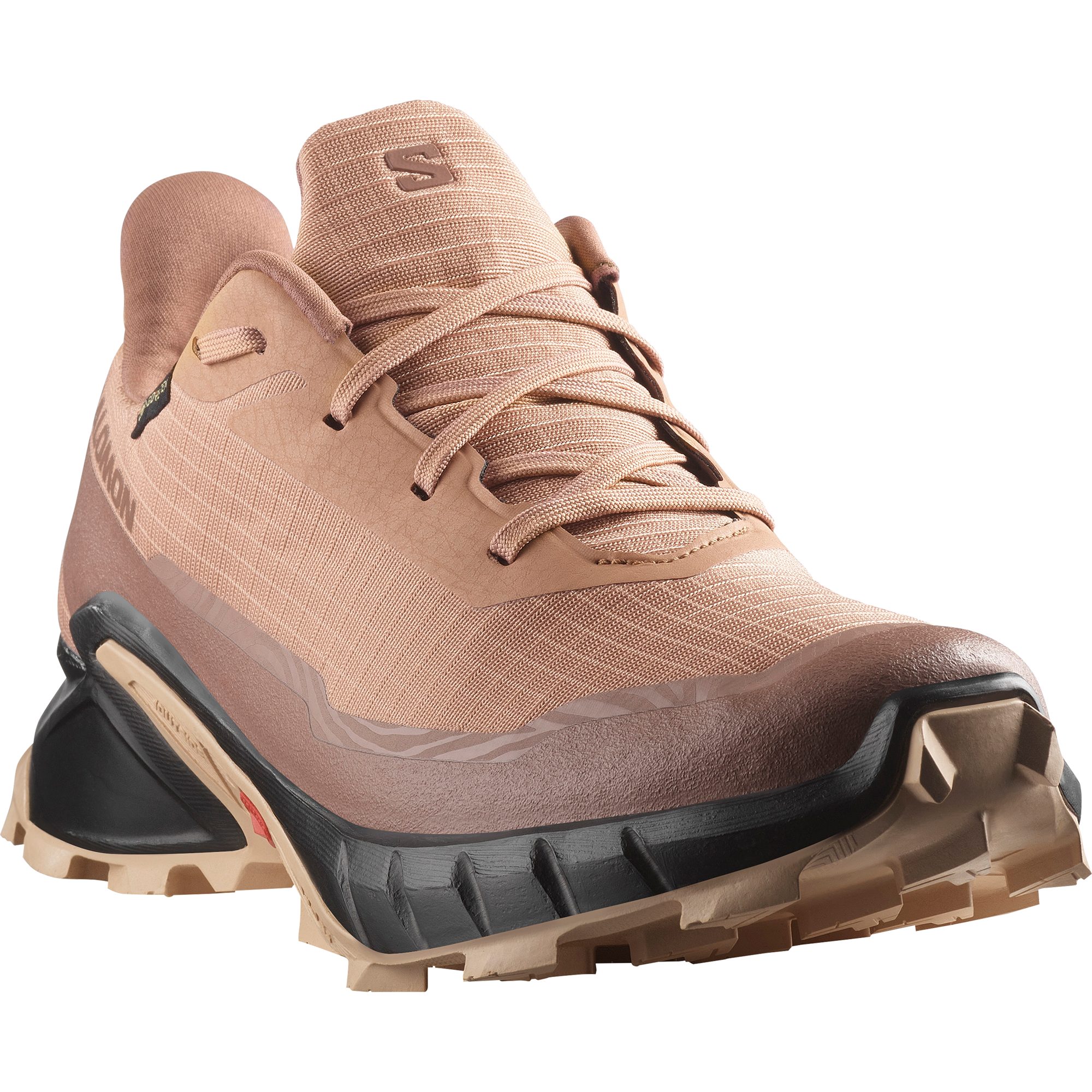 Salomon Runningschoenen ALPHACROSS 5 GORE-TEX