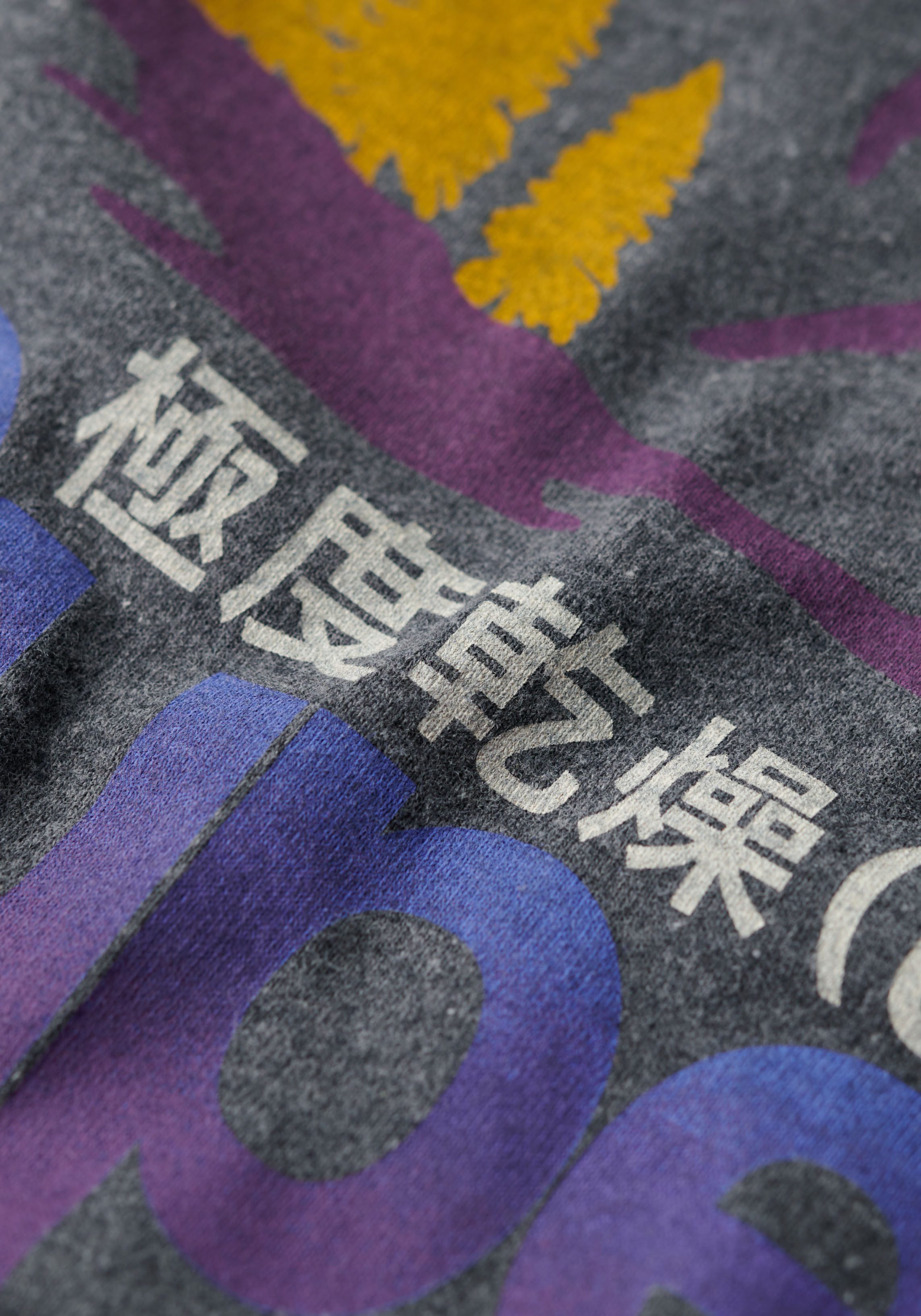 Superdry Shirt met ronde hals CL GREAT OUTDOORS GRAPHIC TEE