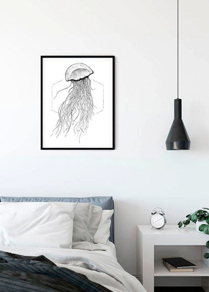 Komar Wanddecoratie Jellyfish white Wanddecoratie - zonder lijst (1 stuk)