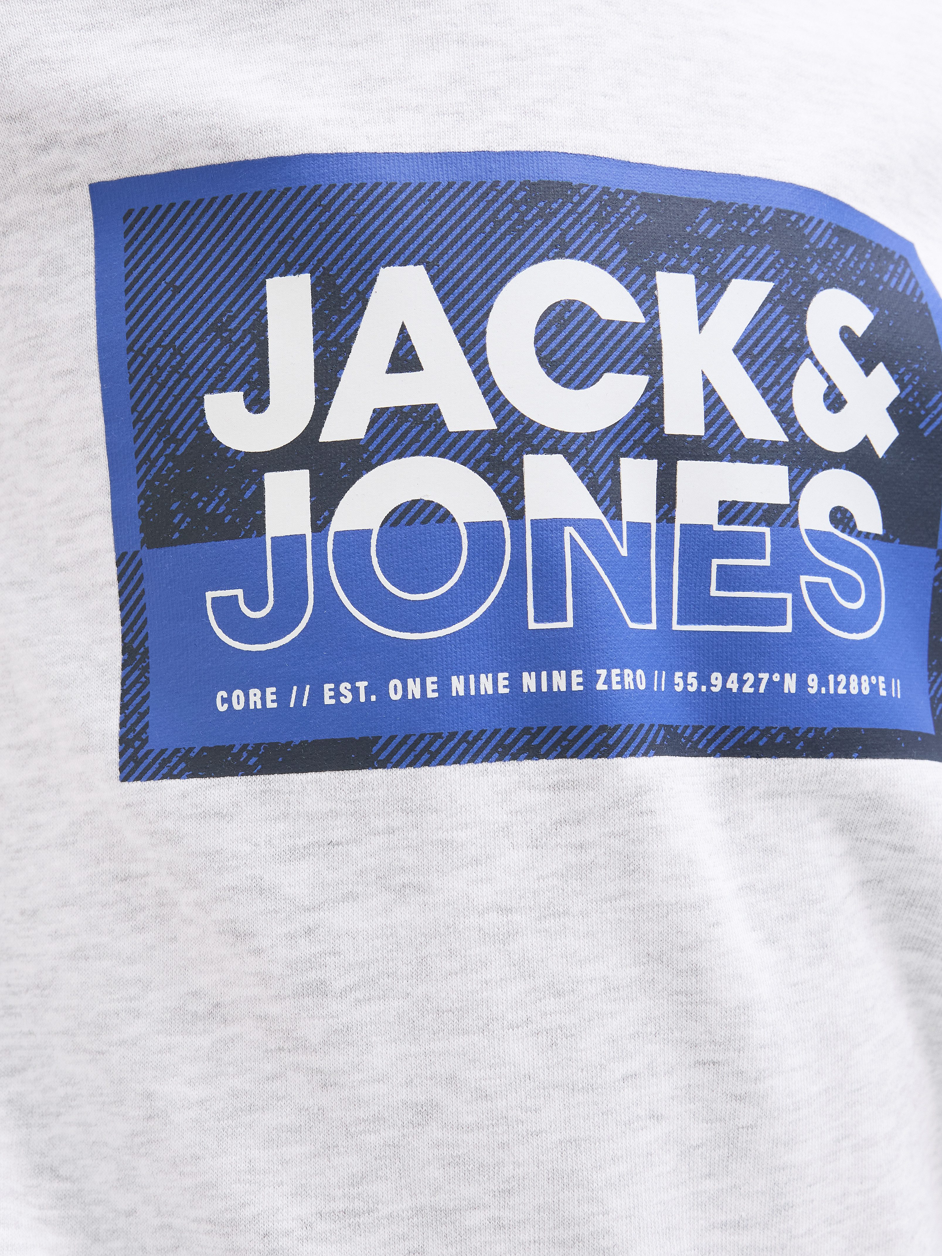 Jack & Jones Junior Hoodie JCOLOGAN SS24 PRINT SWEAT HOOD SN JNR
