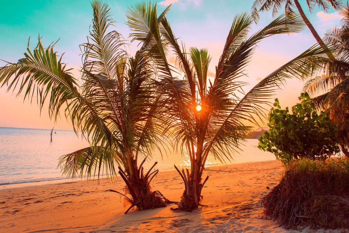 papermoon fotobehang tropische zonsondergang strand vliesbehang, eersteklas digitale print multicolor