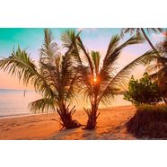 papermoon fotobehang tropischer sonnenuntergangsstrand multicolor