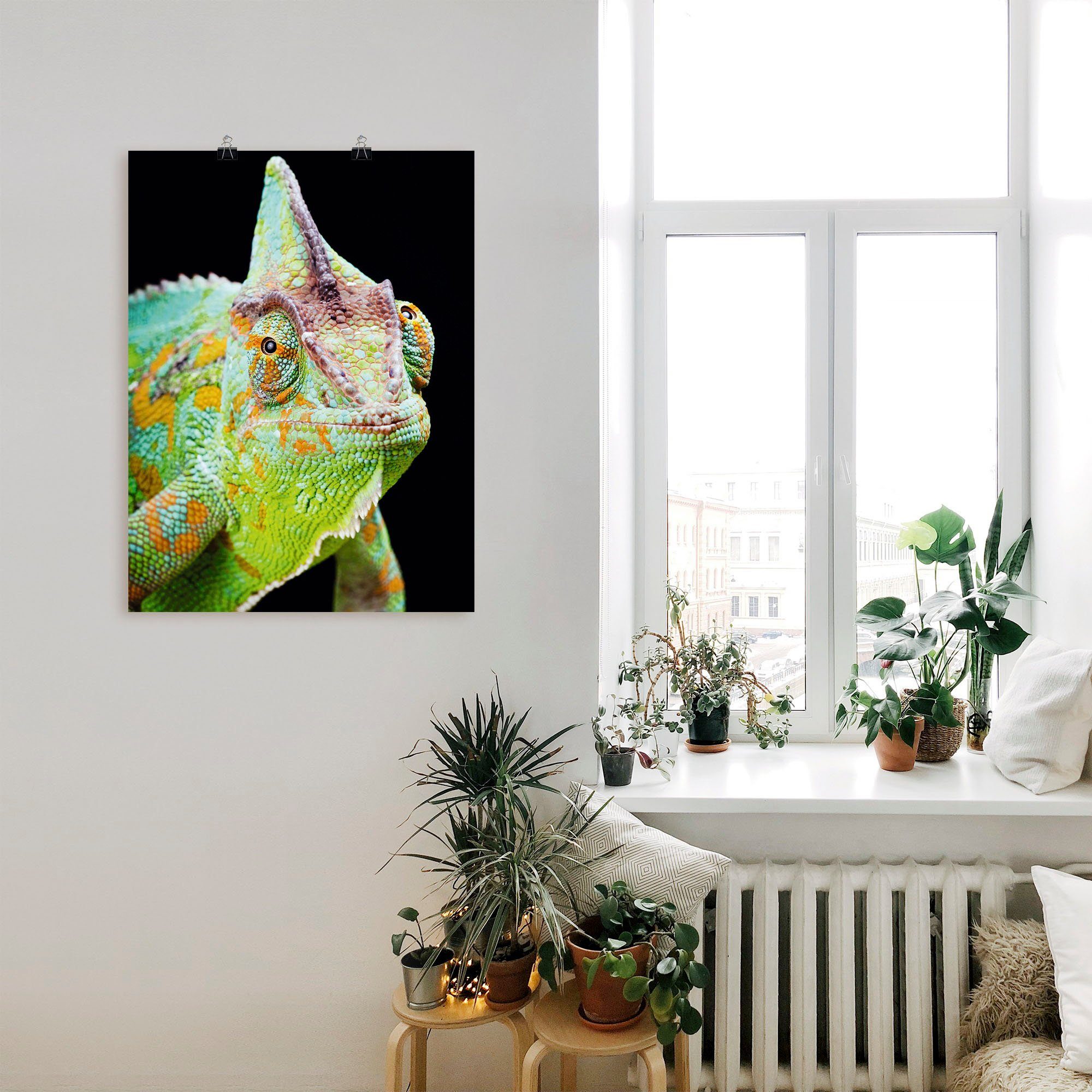 Artland Artprint Yemen kameleon als artprint van aluminium, artprint voor buiten, poster, muursticker in diverse maten formaten