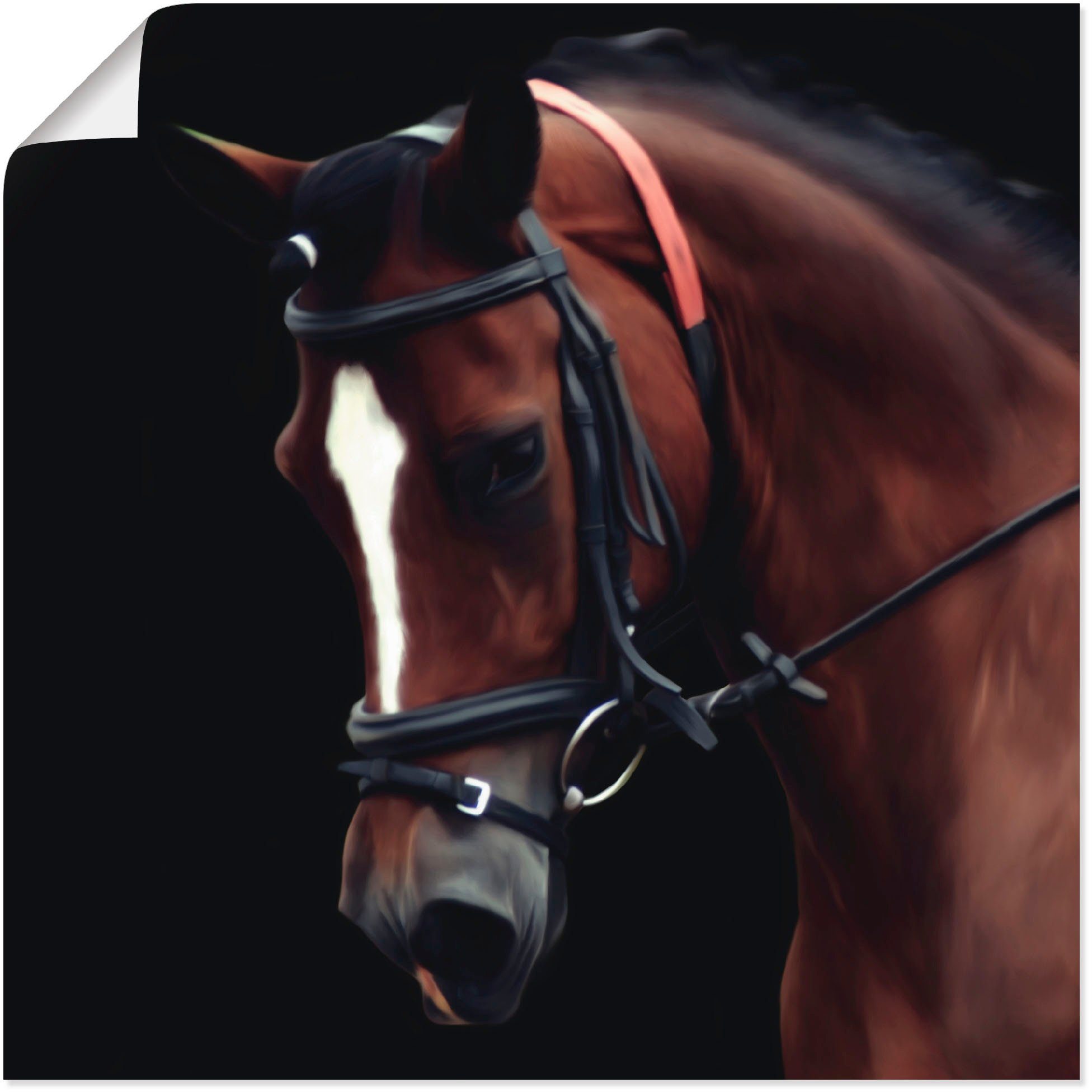 Artland Artprint Dressuur paard in vele afmetingen & productsoorten -artprint op linnen, poster, muursticker / wandfolie ook geschikt voor de badkamer (1 stuk)