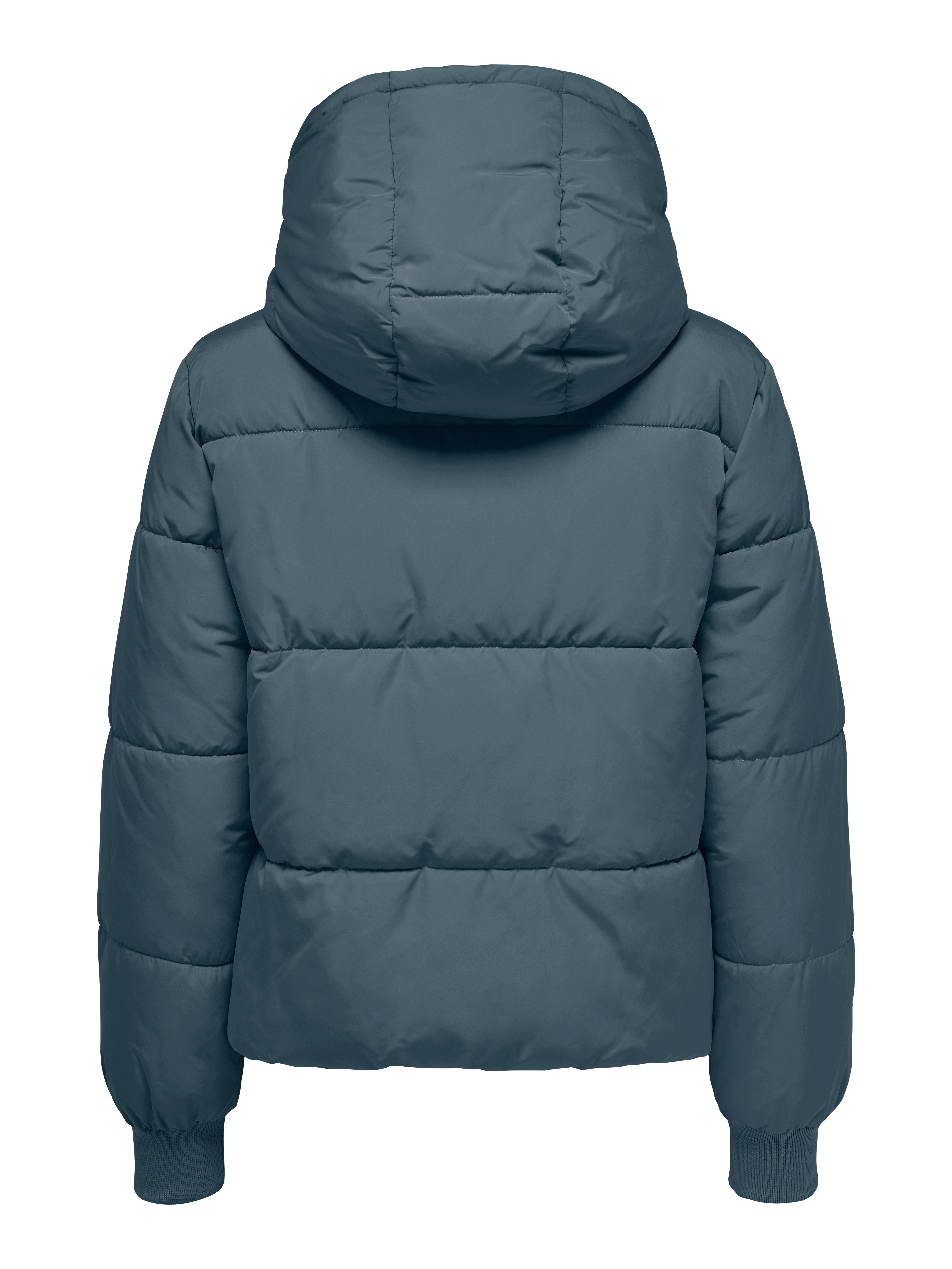 JDY Gewatteerde jas JDYNEWERICA LIFE SHORT HOOD JKT OTW NOOS