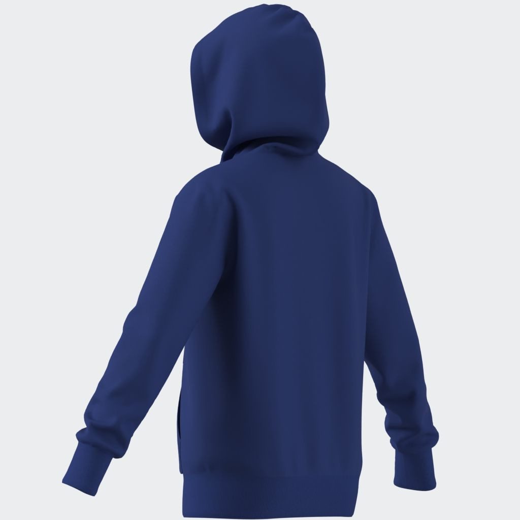 adidas Sportswear Hoodie J BL FT HD 280