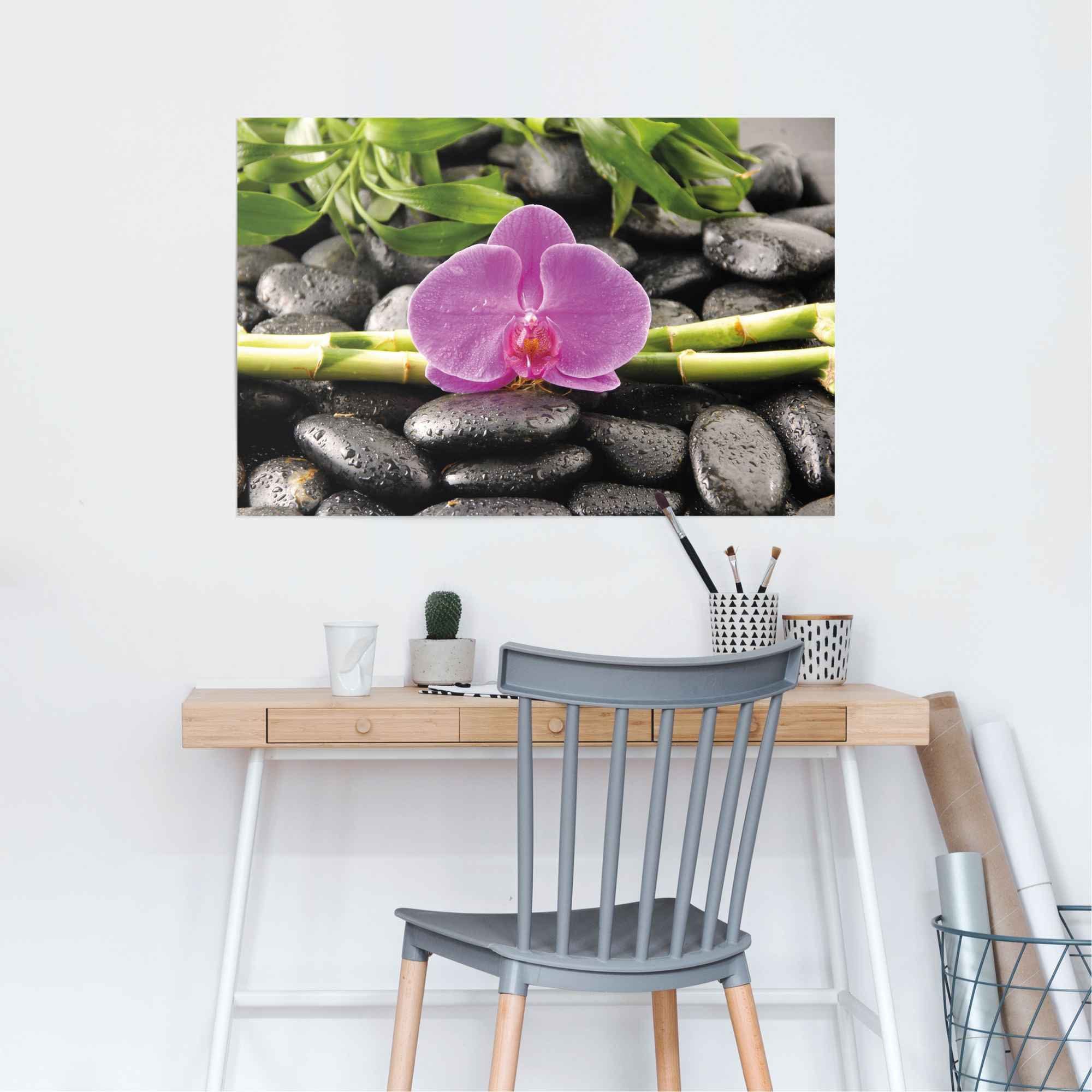 Reinders! Poster Orchidee