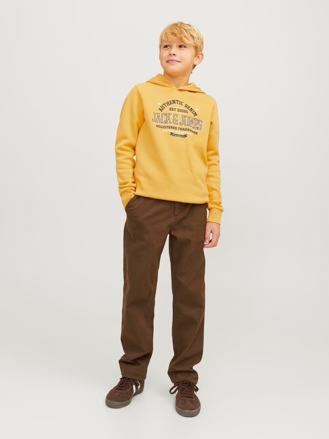 Jack & Jones Junior Hoodie JJELOGO SWEAT HOOD 2 COL 24 25 NOOS JNR