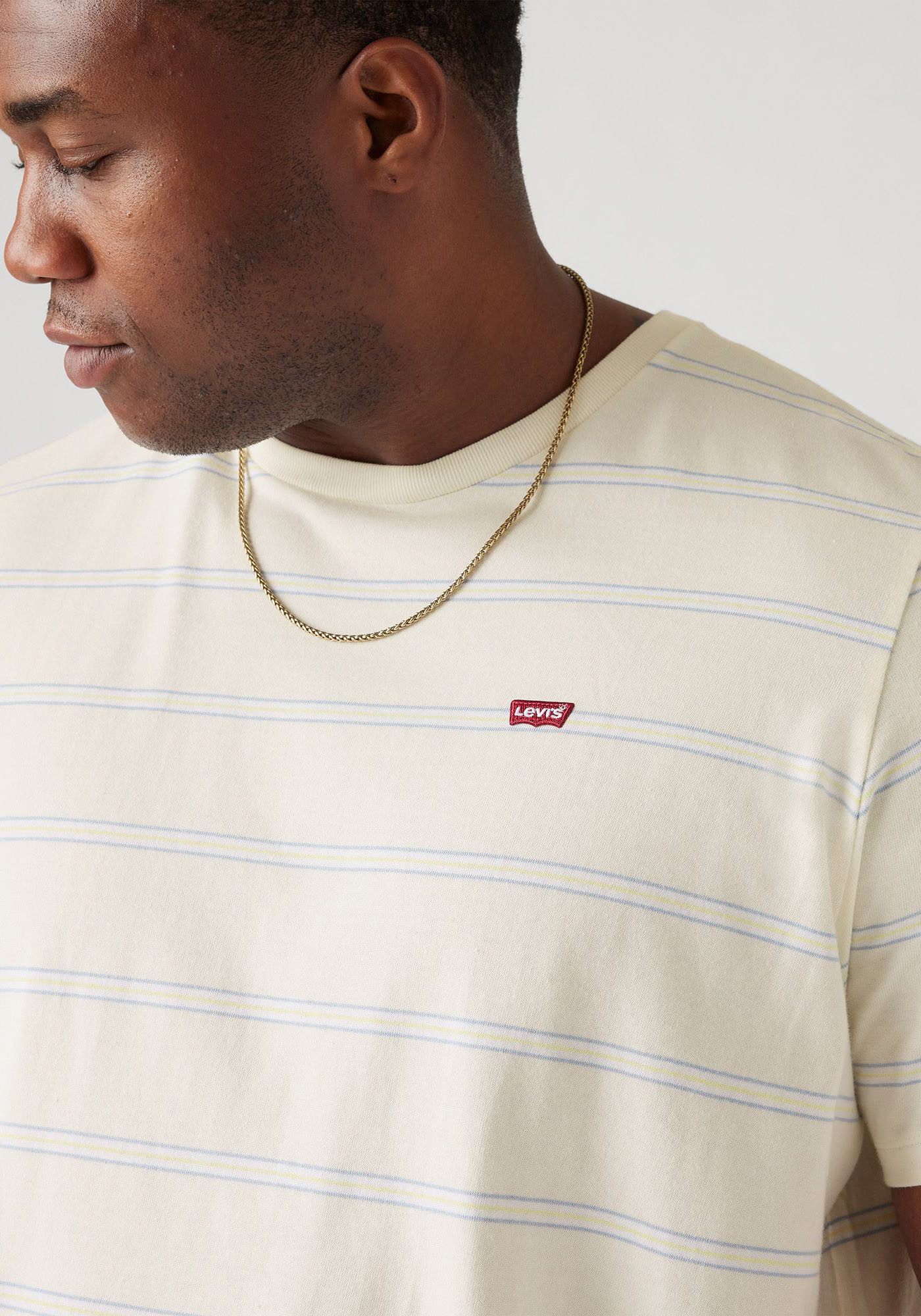 Levi's Plus Levi's Plus Shirt met ronde hals BIG ORIGINAL HM TEE met een gestreept design