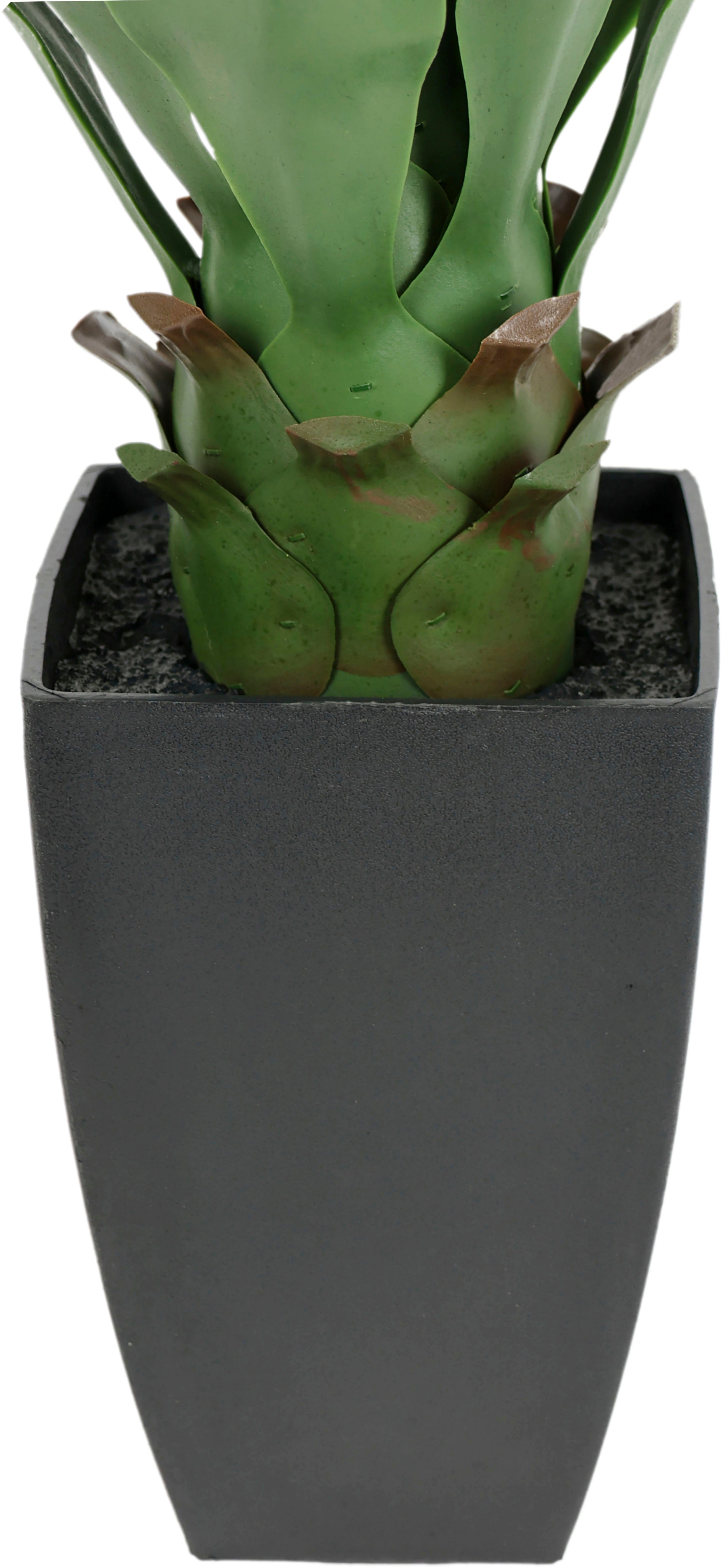 I.GE.A. Kunstplant Kunstmatige Agave in pot plant Aloë Vera Sansevieria (1 stuk)