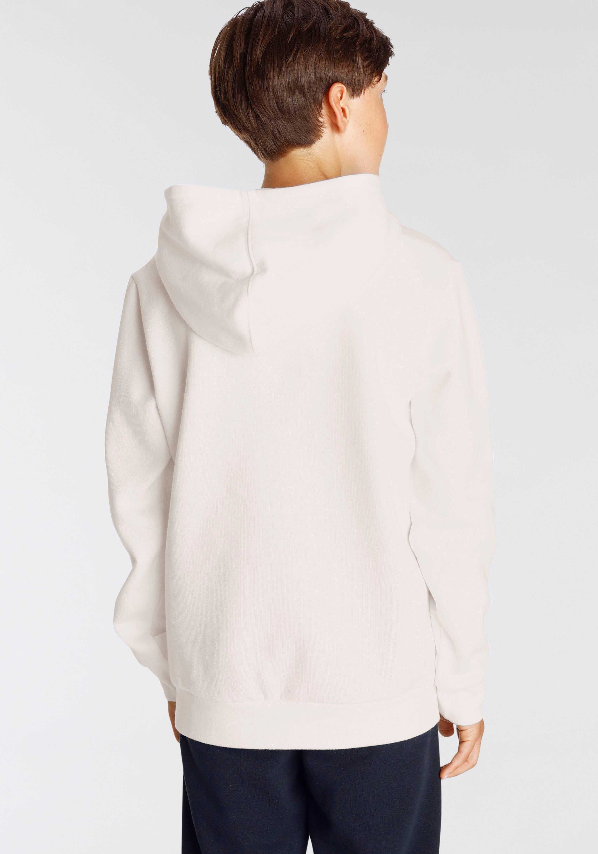 Champion Hoodie HOODED sweatshirt