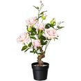 creativ green kunstplant rosé (1 stuk) roze