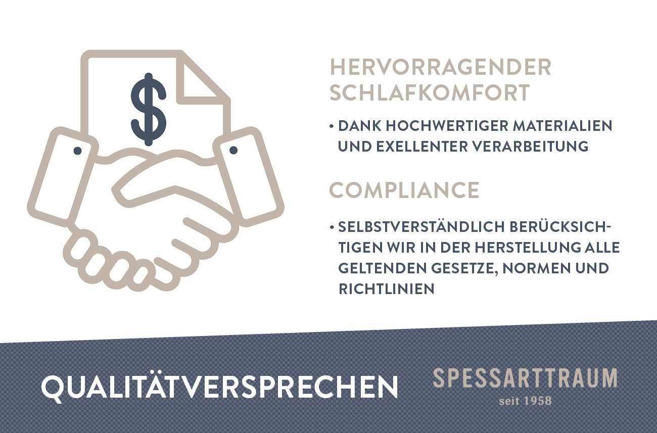 SPESSARTTRAUM Kussen met ganzendons Premium goede ondersteuning, zijslapers & rugslapers